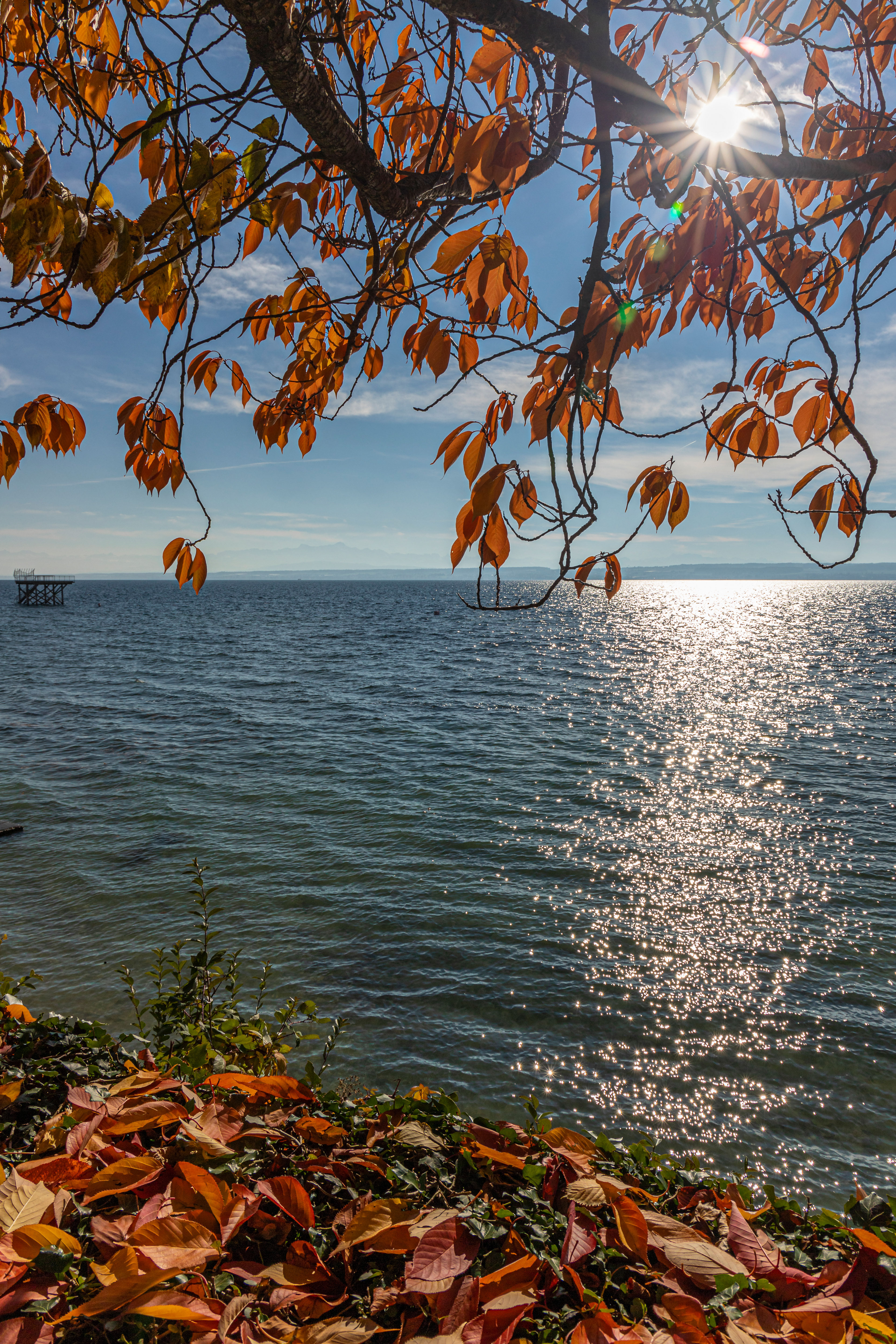 Am schoenen Bodensee 4