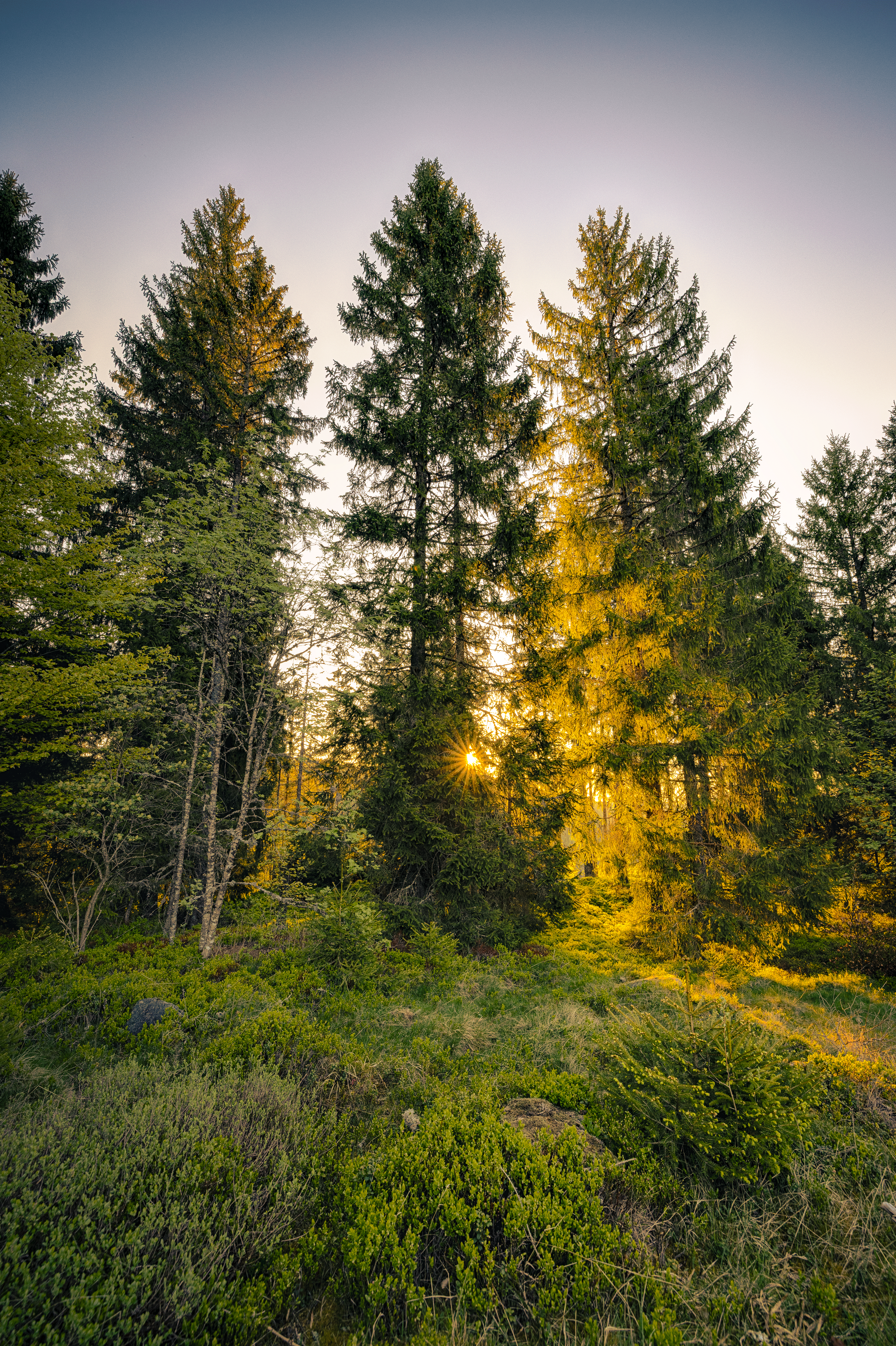 Landscapes 14