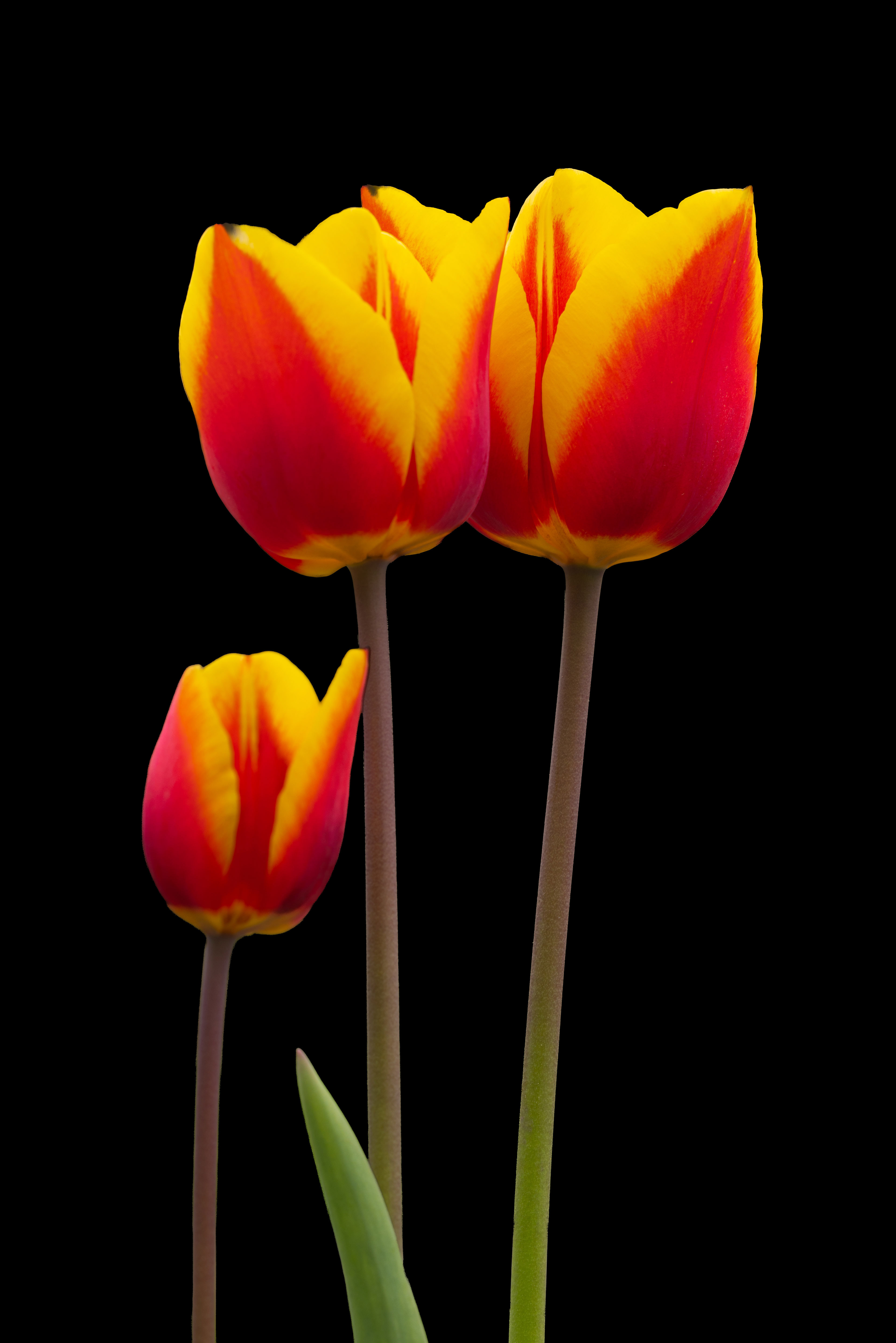 Schoenes in Schwarz 4