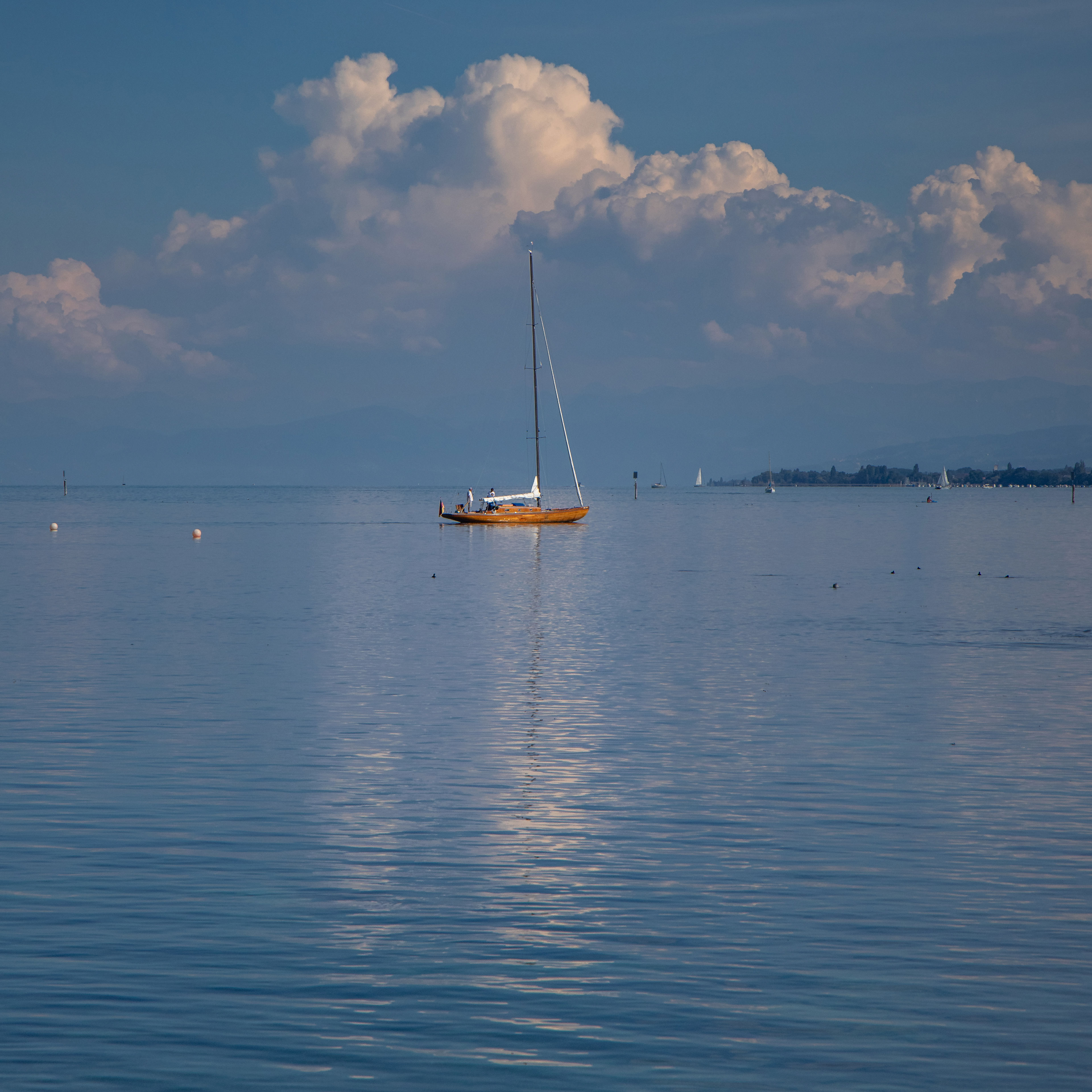 Am schoenen Bodensee 7
