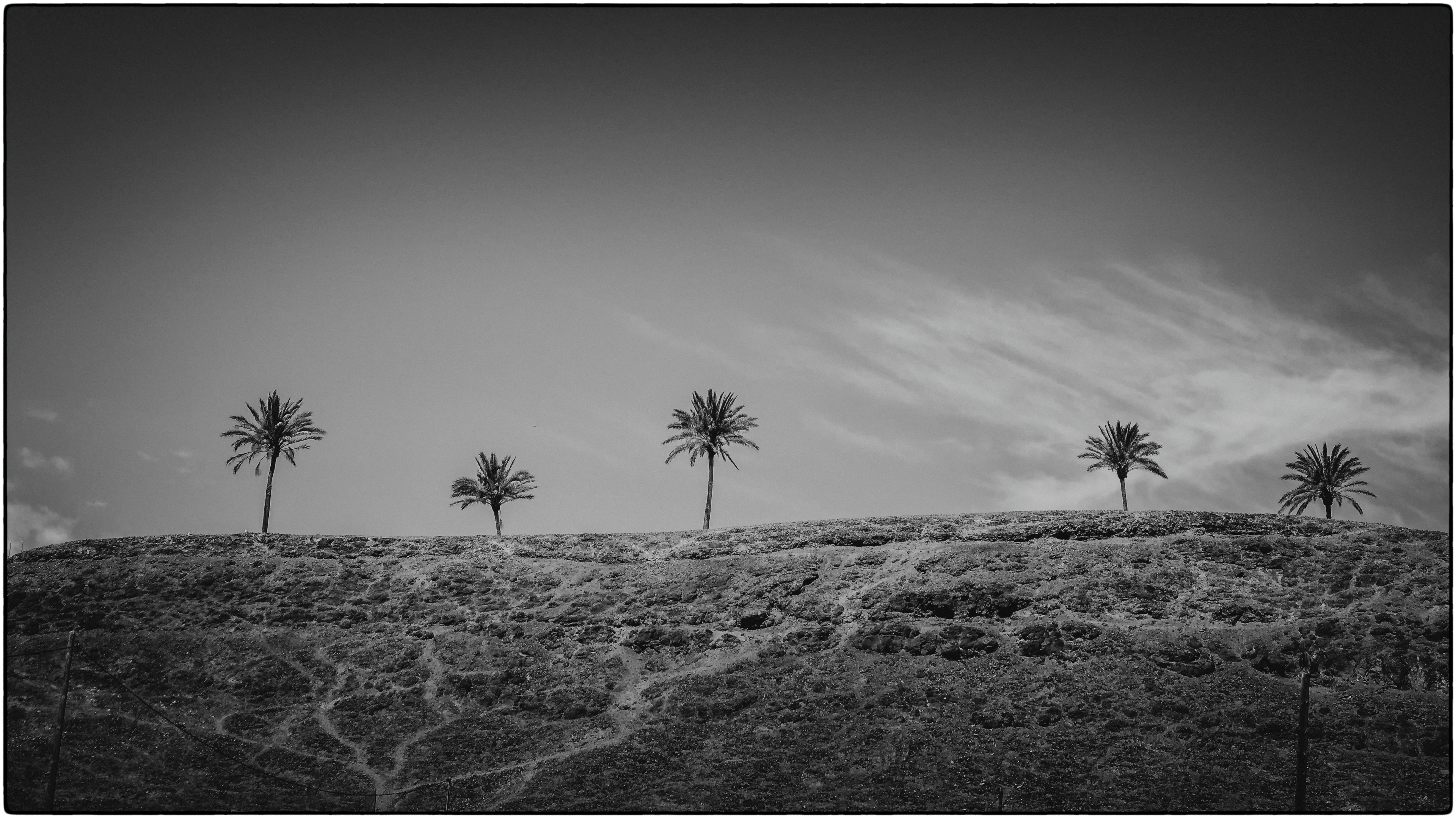Fuerteventura 16