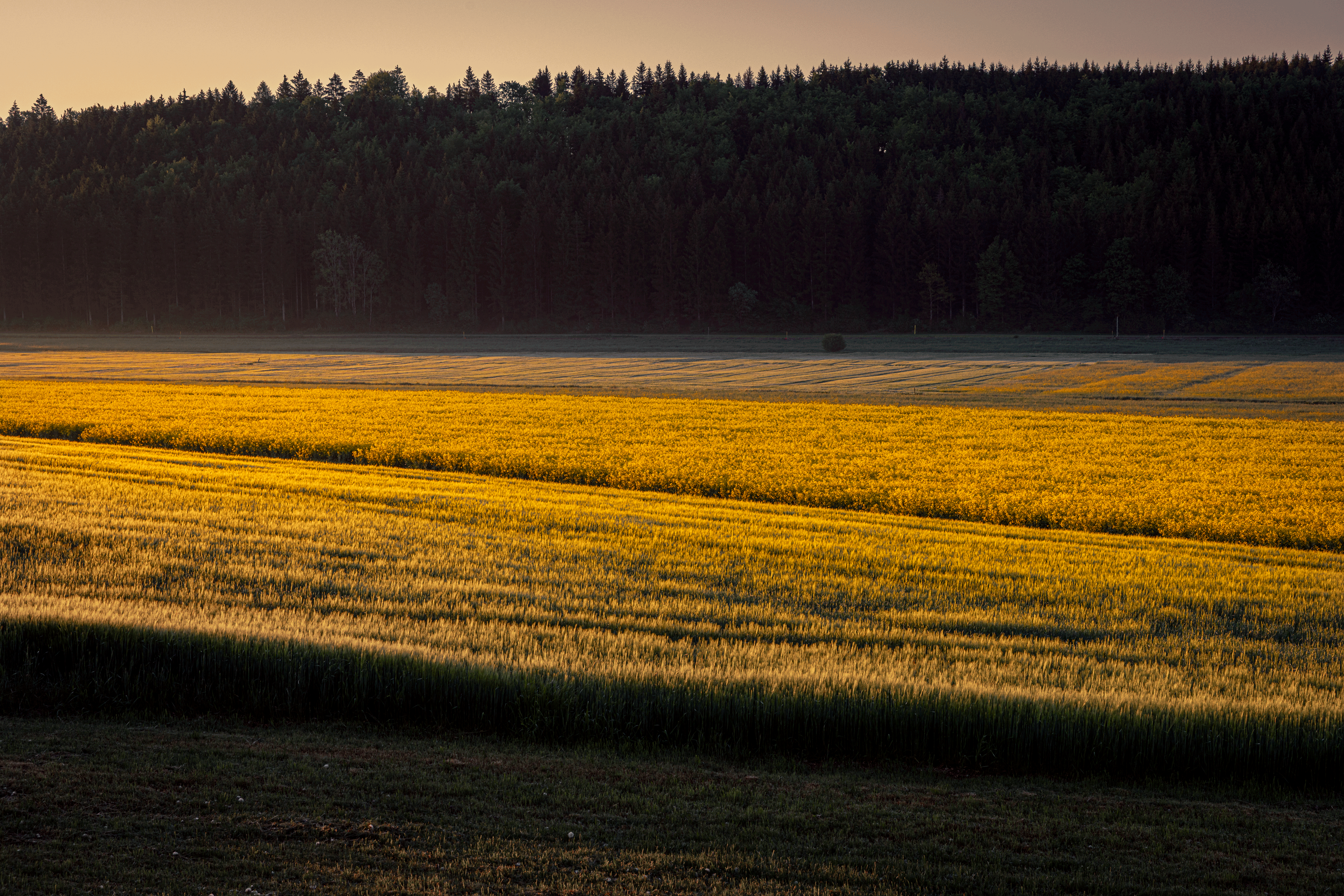 Landschaftliches 10