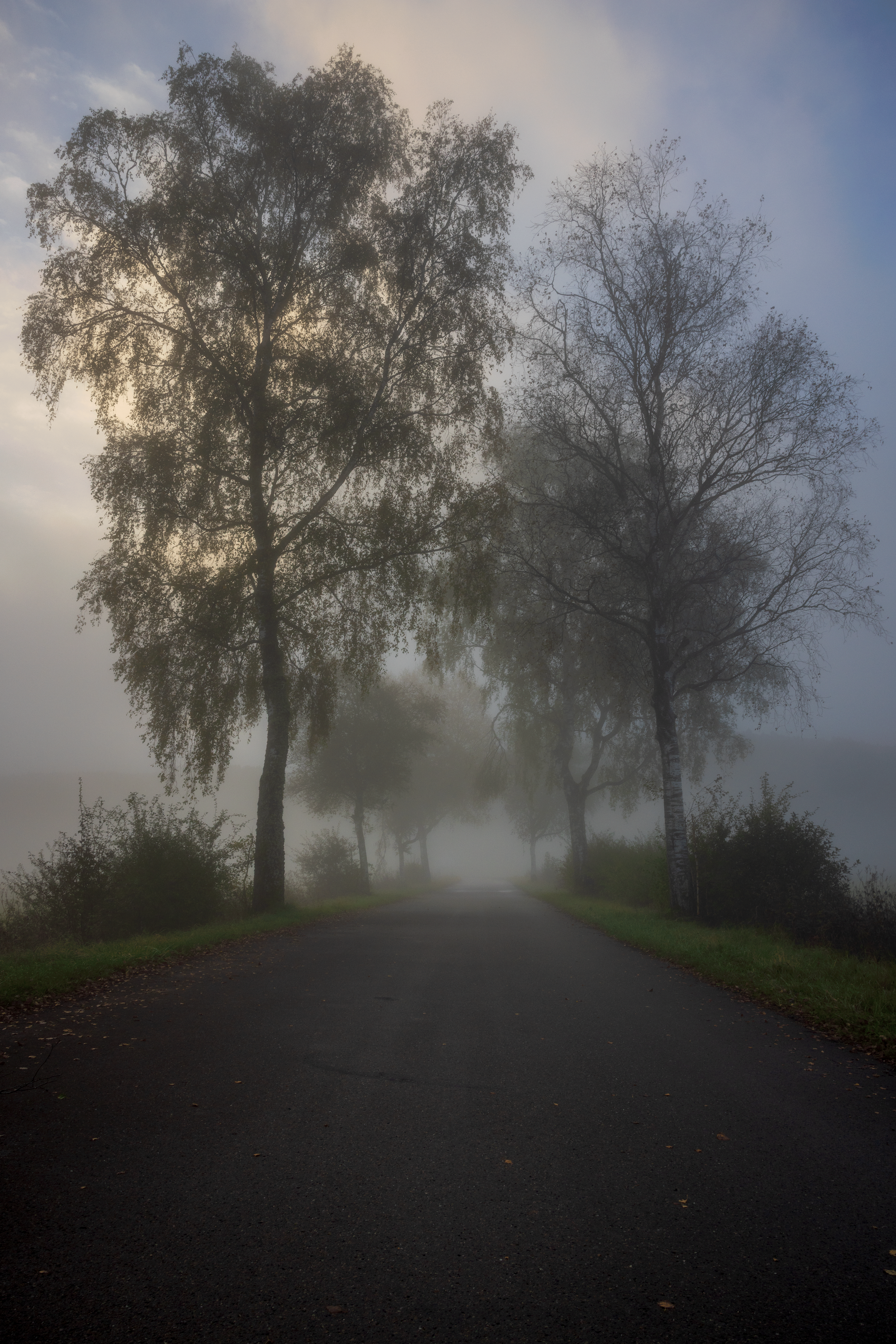 Seasons: Autumn 8