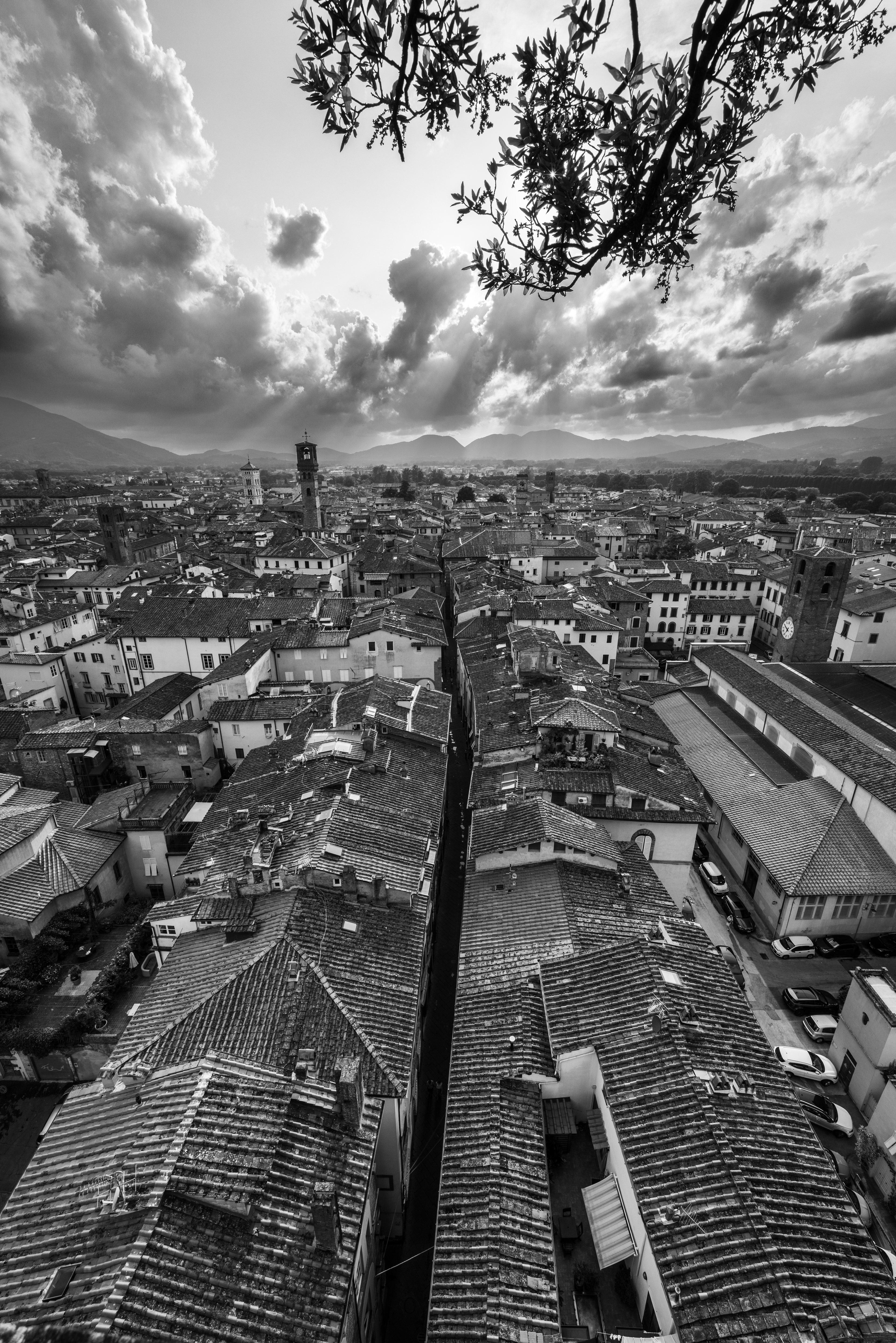 Bella Italia – Lucca 17