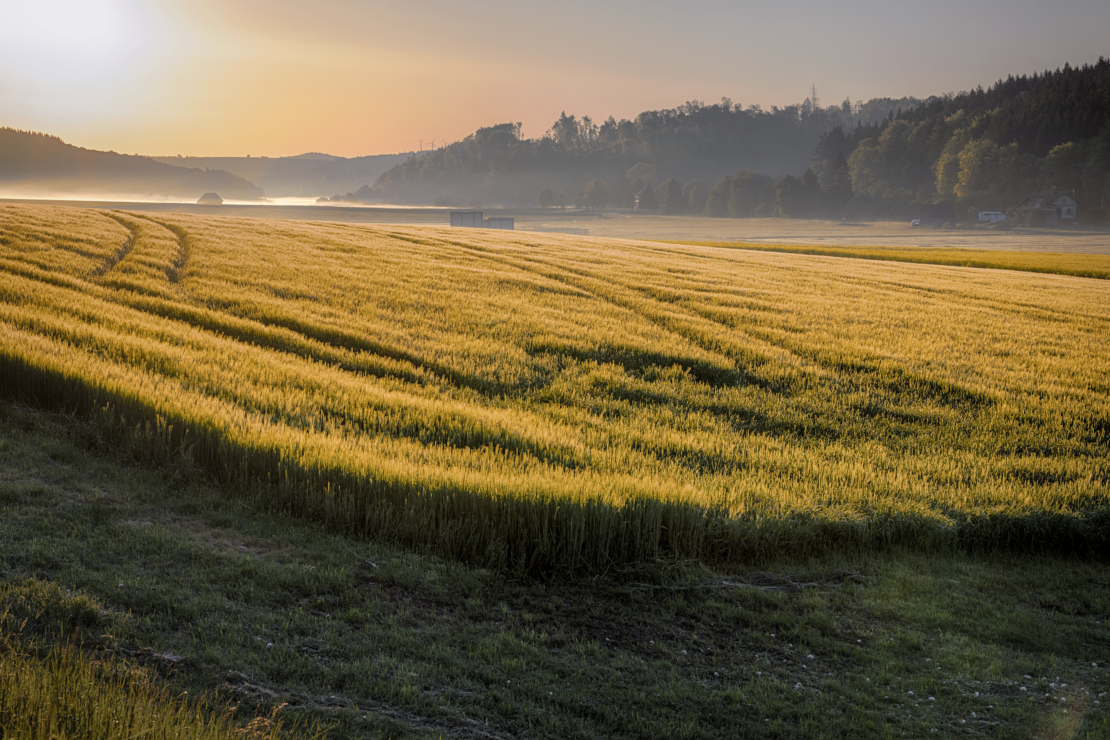 Landscapes 13