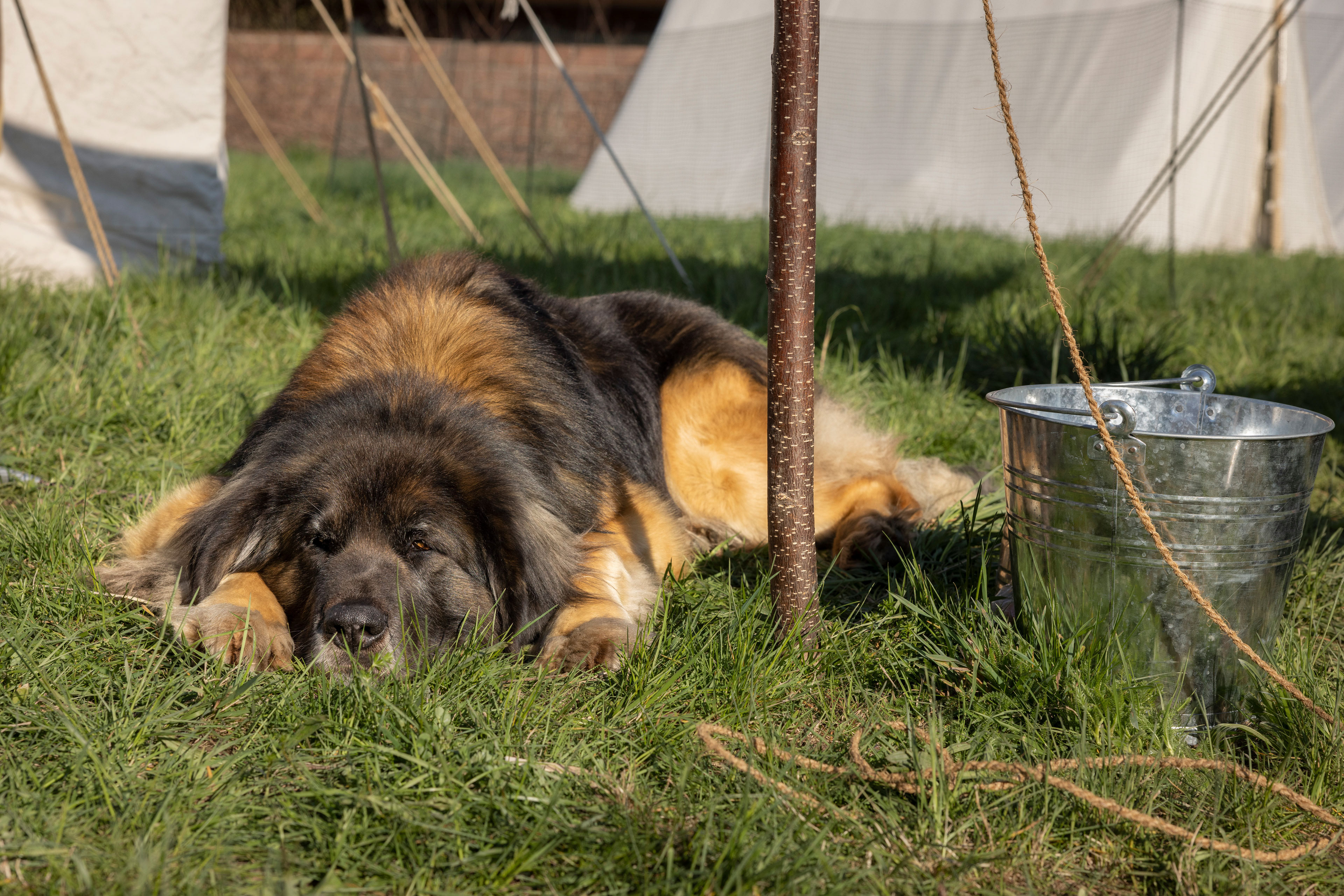 Fabula Corvinus - „Zeitenspiel“ - Nordrach 2023 - 24