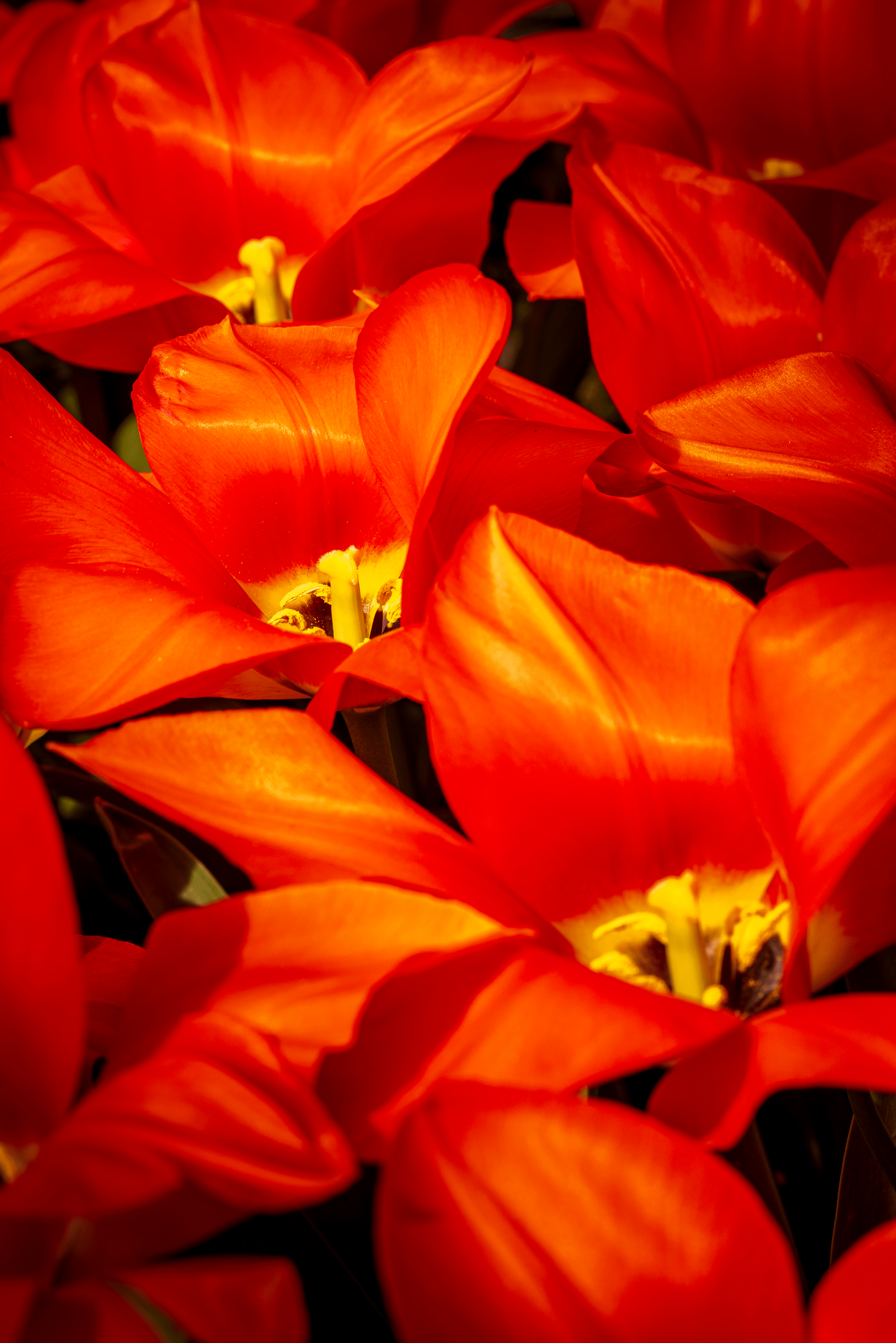 Fruehlingshaftes 38