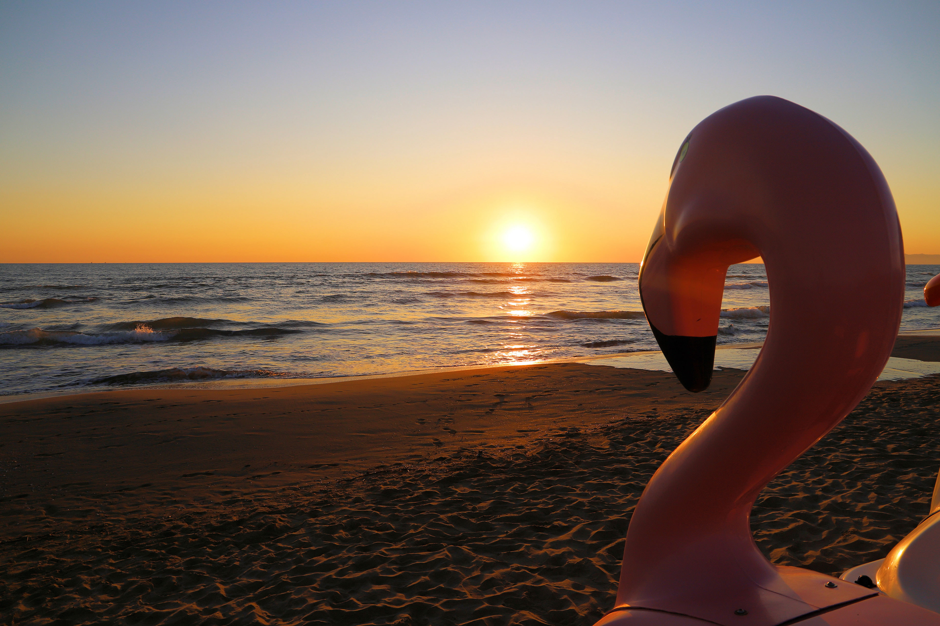 Wohin der Cowboy reitet 2