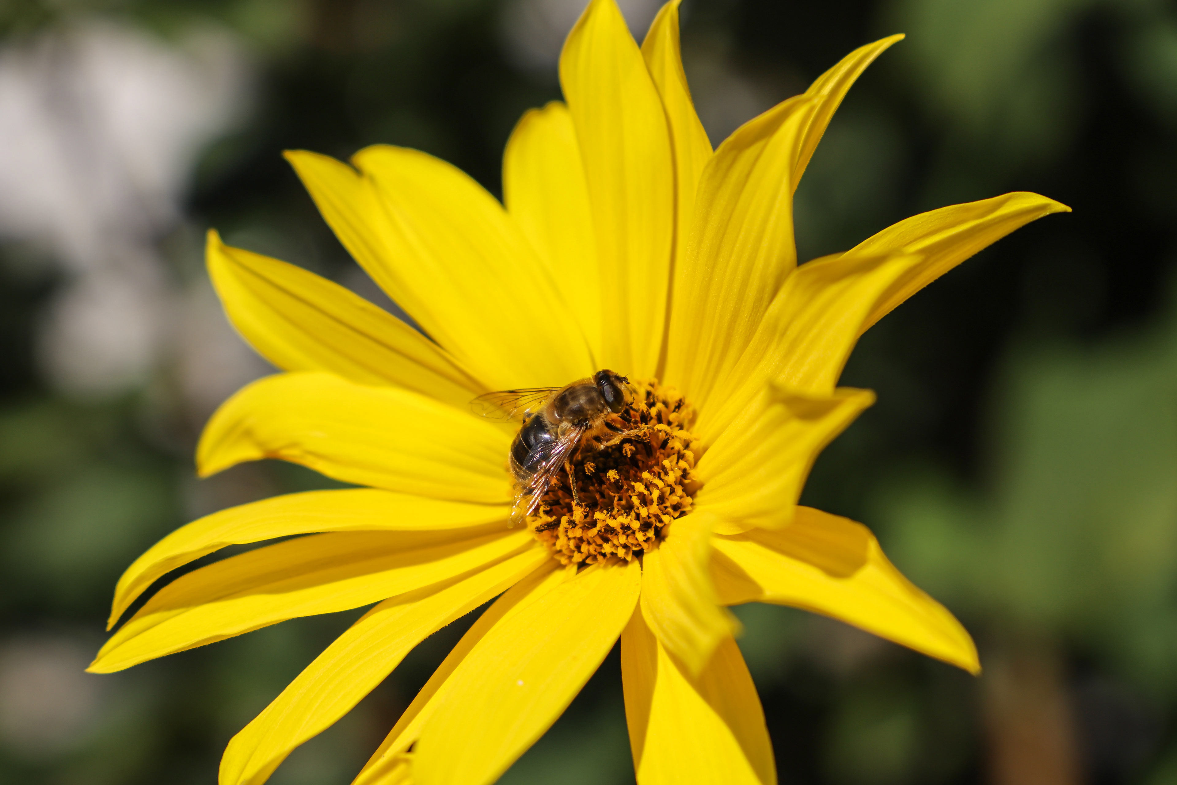 Tierisches 22