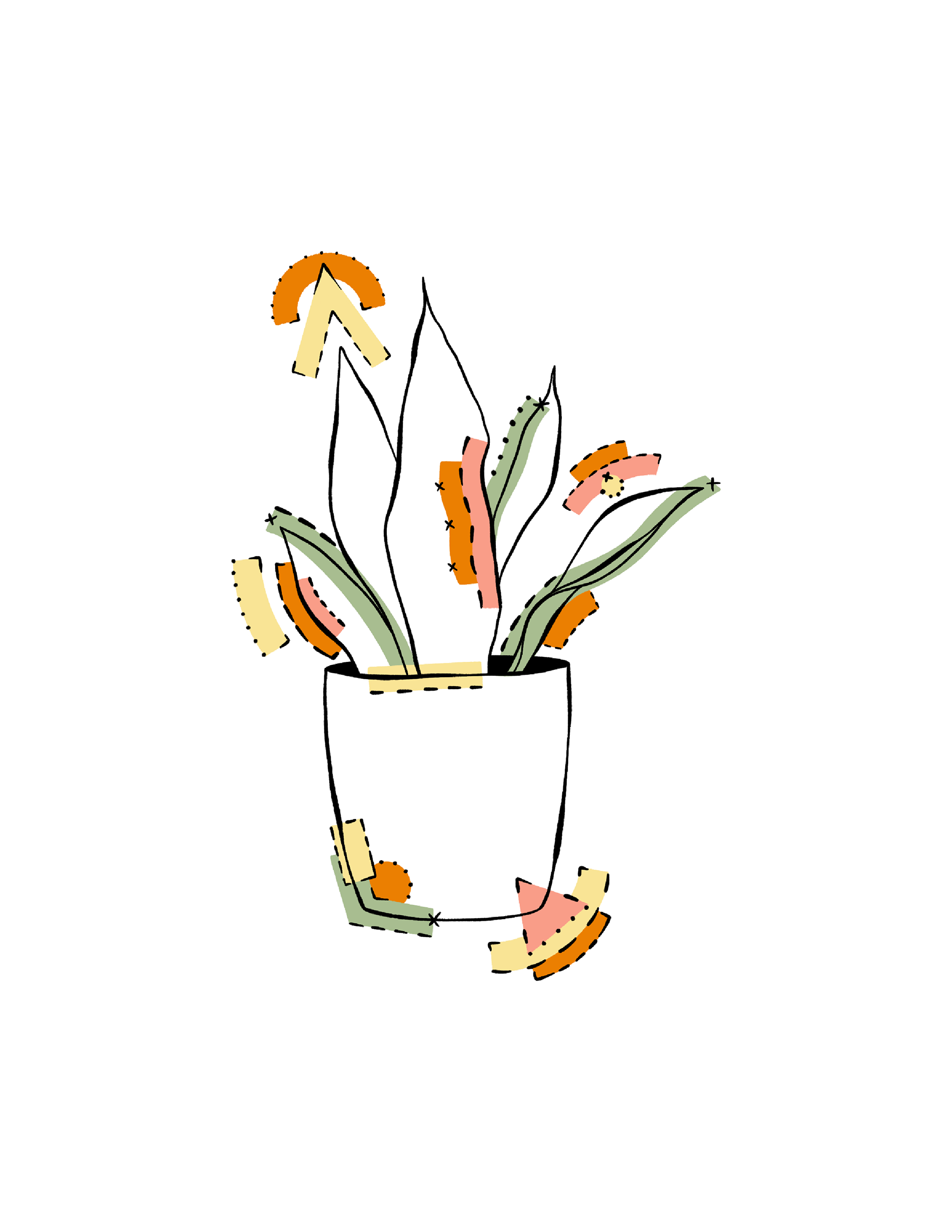 Apple Pencil, Procreate, Illustrator