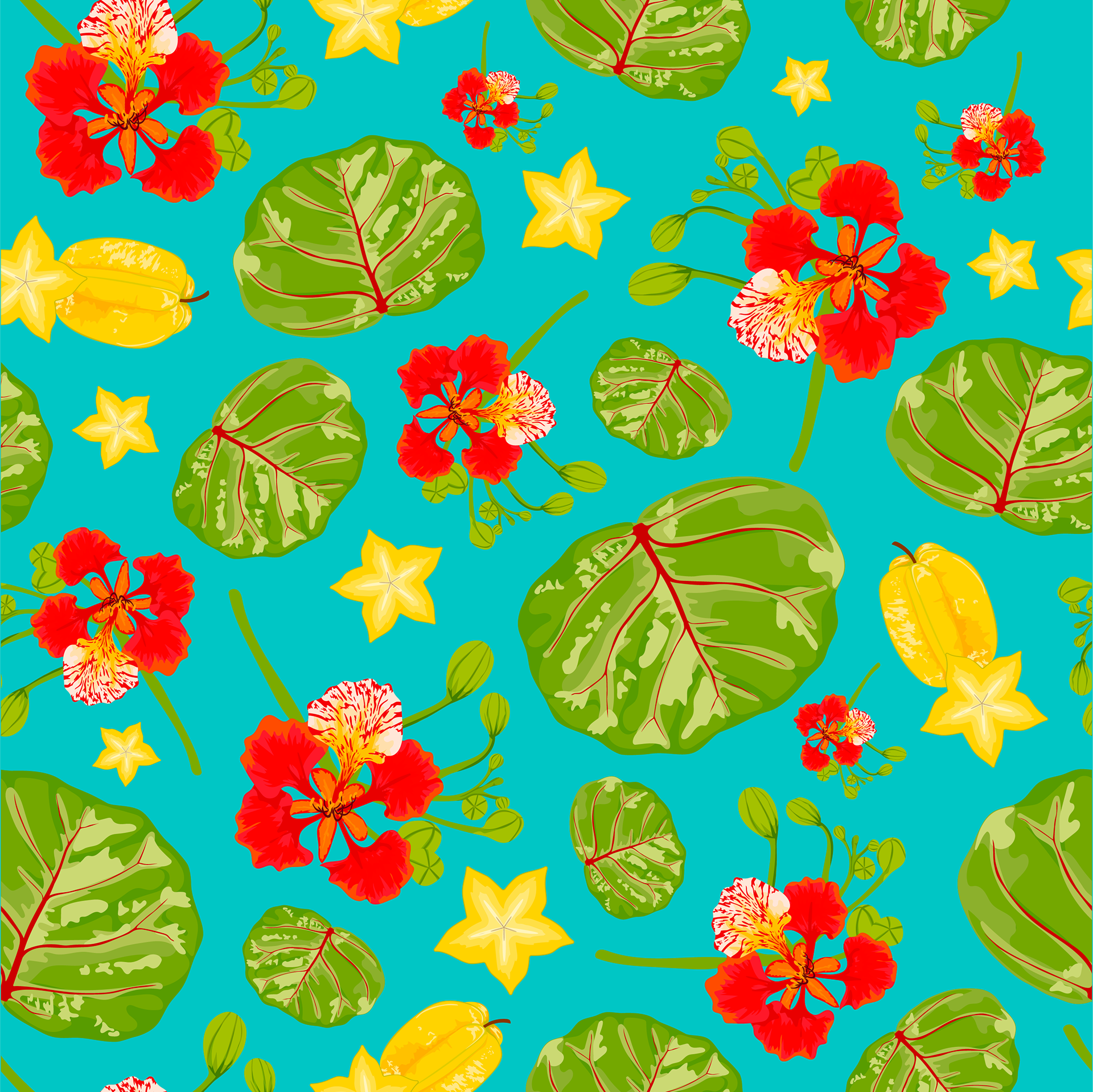 Apple Pencil, Procreate, Illustrator