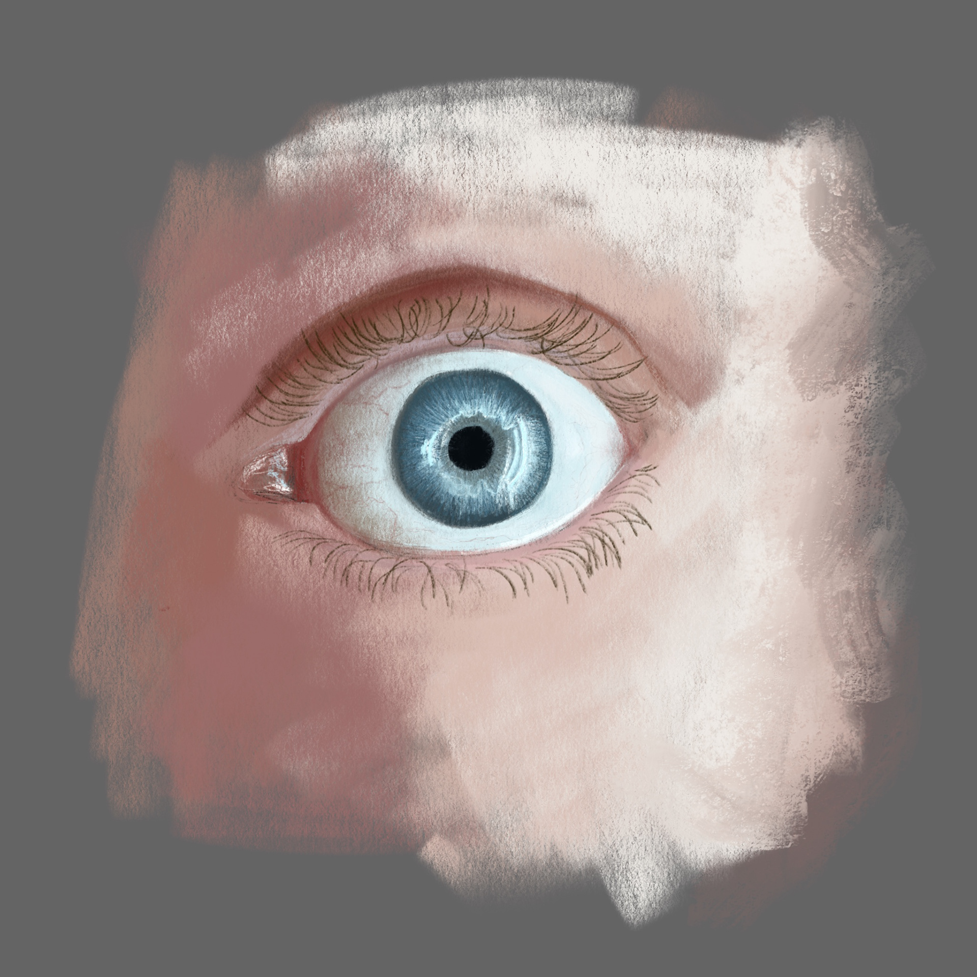 Apple Pencil, Procreate