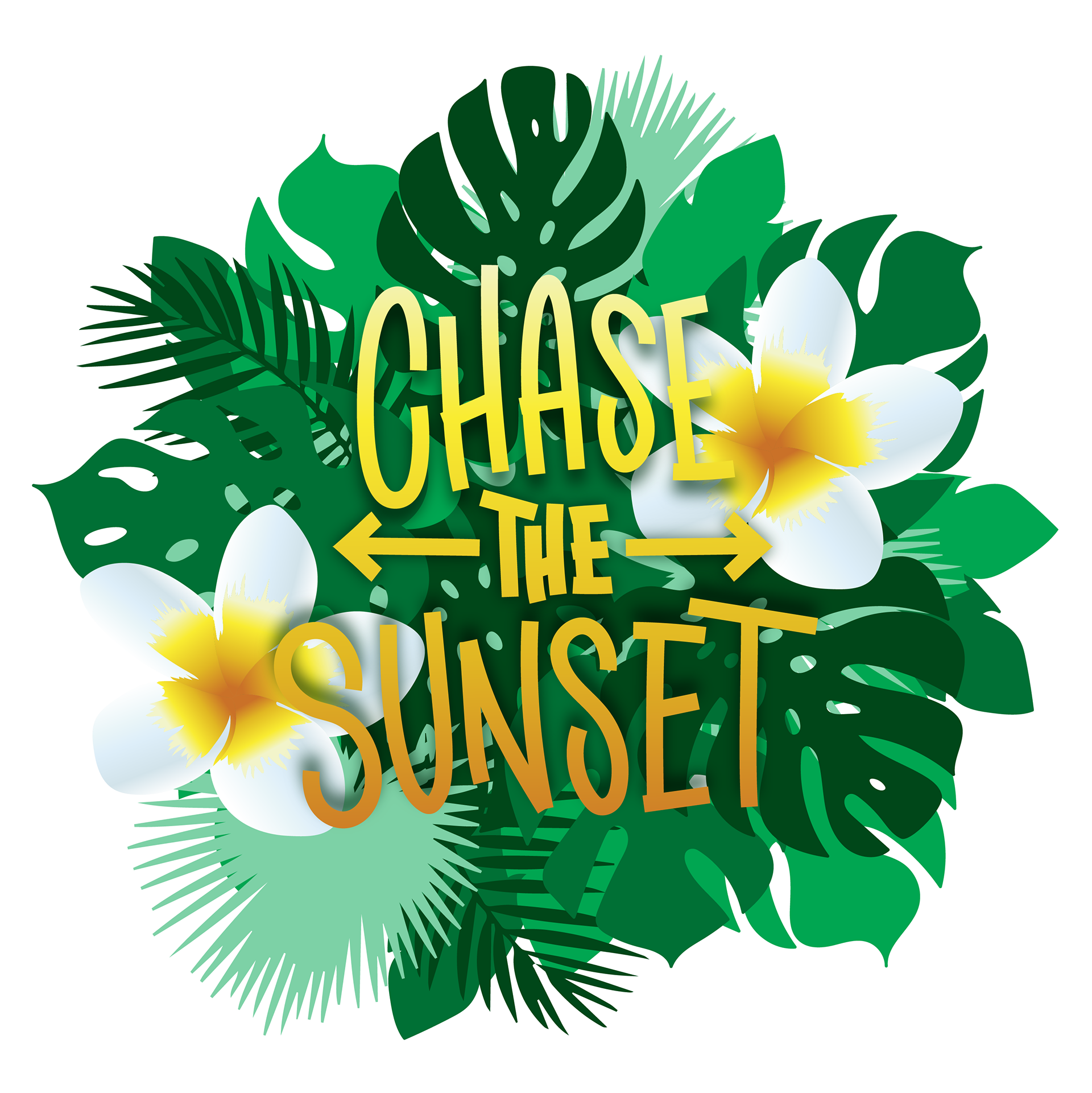 Apple Pencil, Procreate, Illustrator