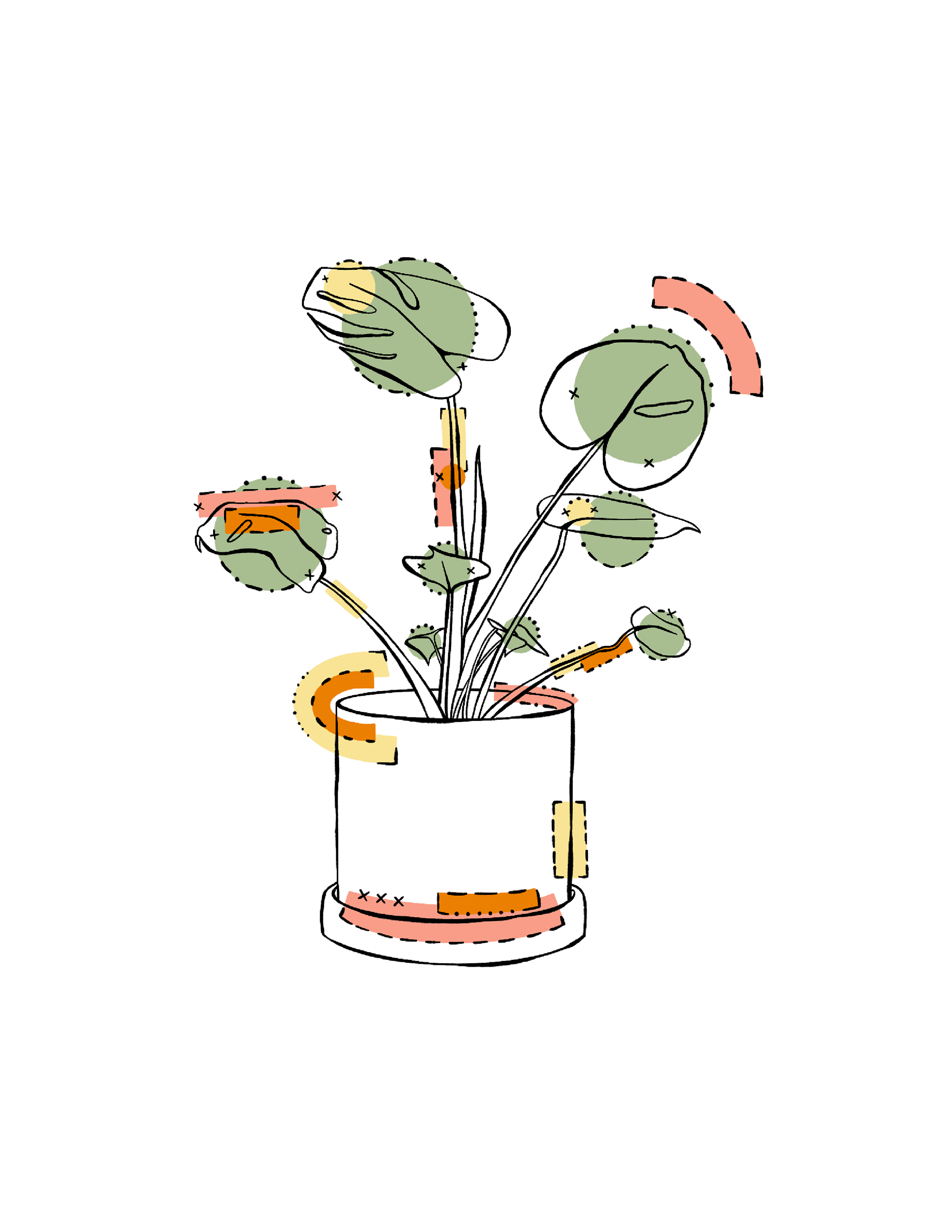 Apple Pencil, Procreate, Illustrator