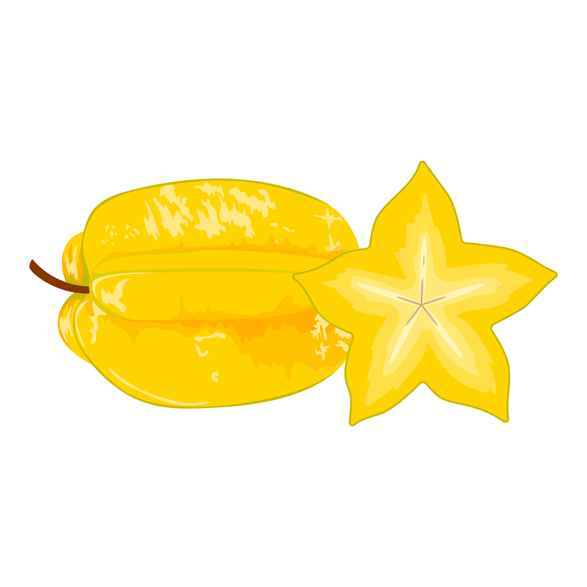 Apple Pencil, Procreate, Illustrator