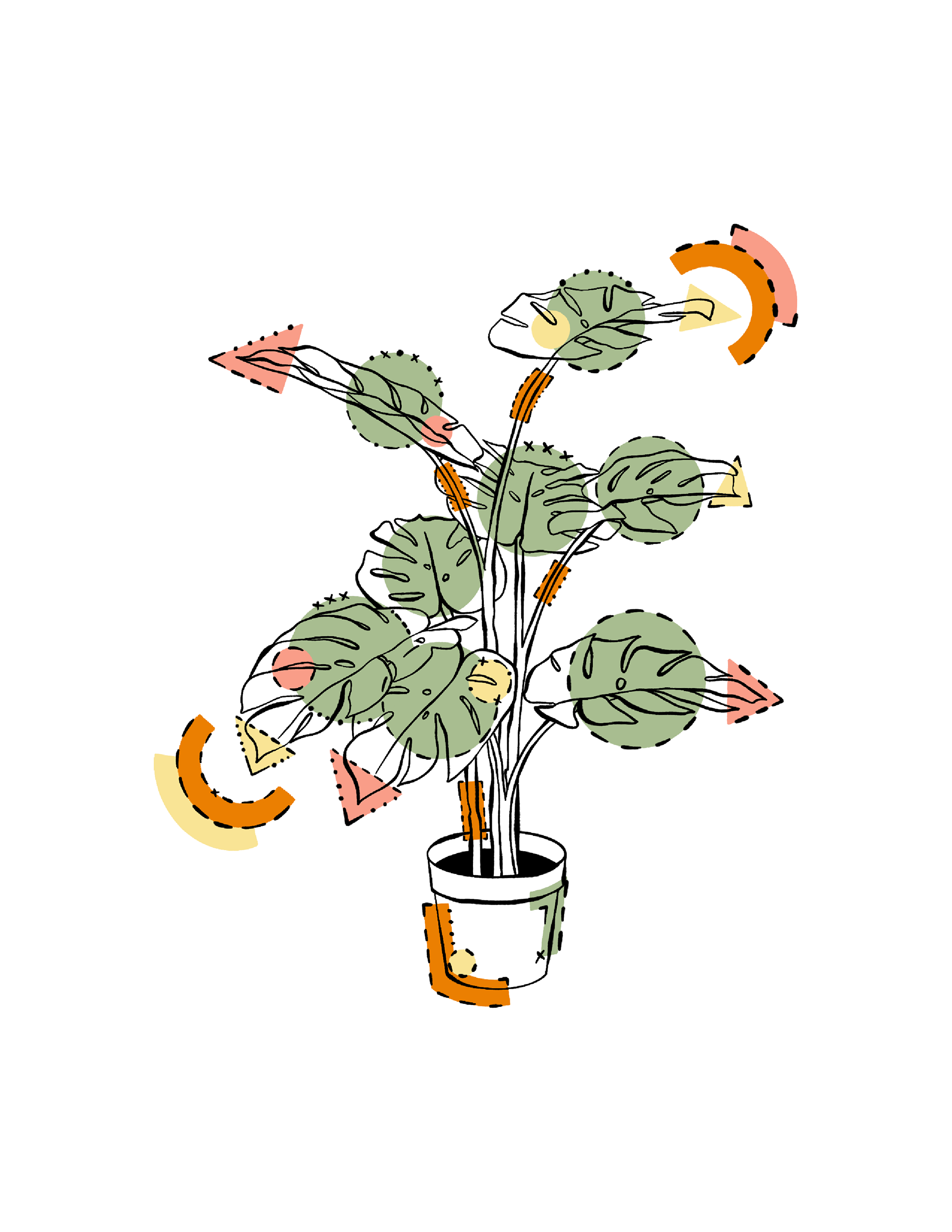 Apple Pencil, Procreate, Illustrator