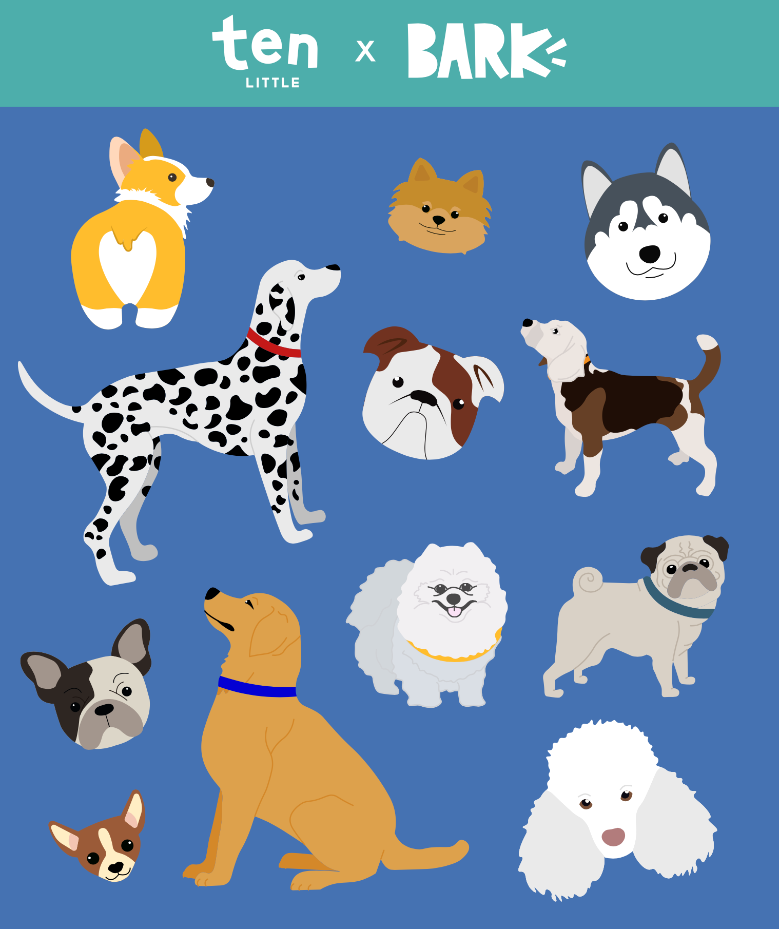 Ten Little x Bark sticker pack