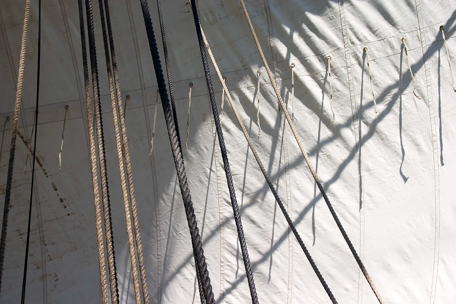 Focken på Ostindiefararen Götheborg