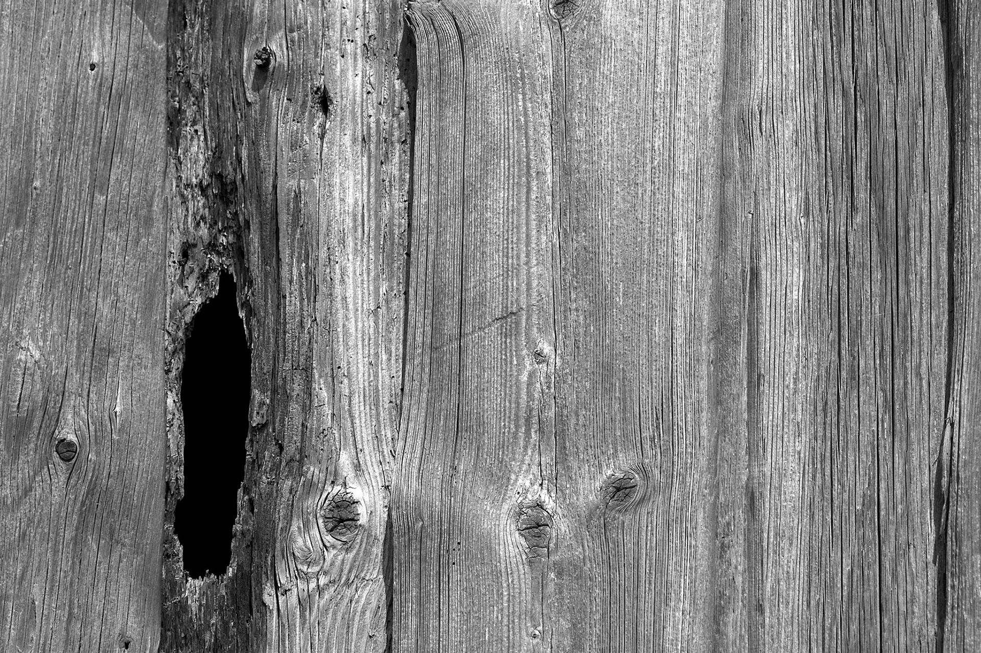 Ladugårdsvägg i behov av färg