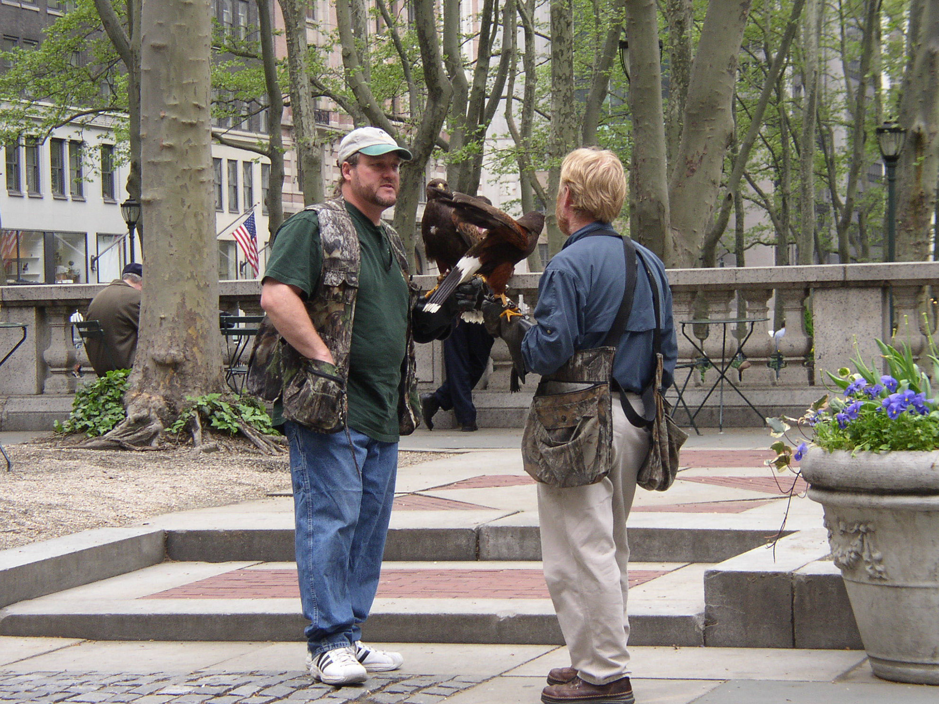 Duvskrämmare New York City