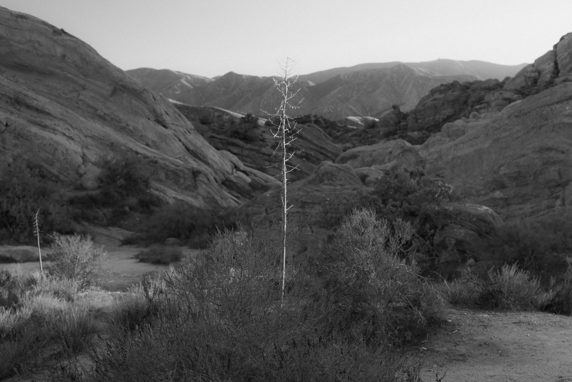 Vasquez Rocks, CA