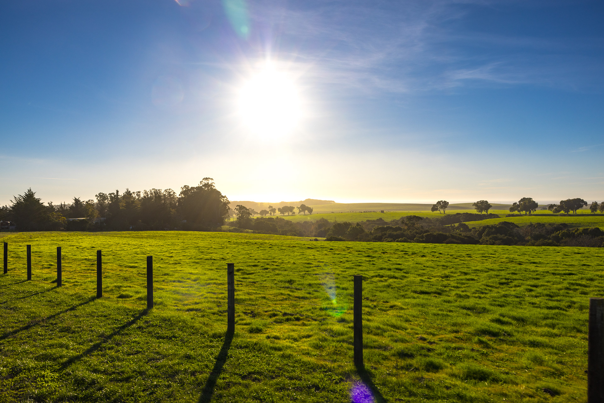 Hearst Castle, Sam Simeon, California