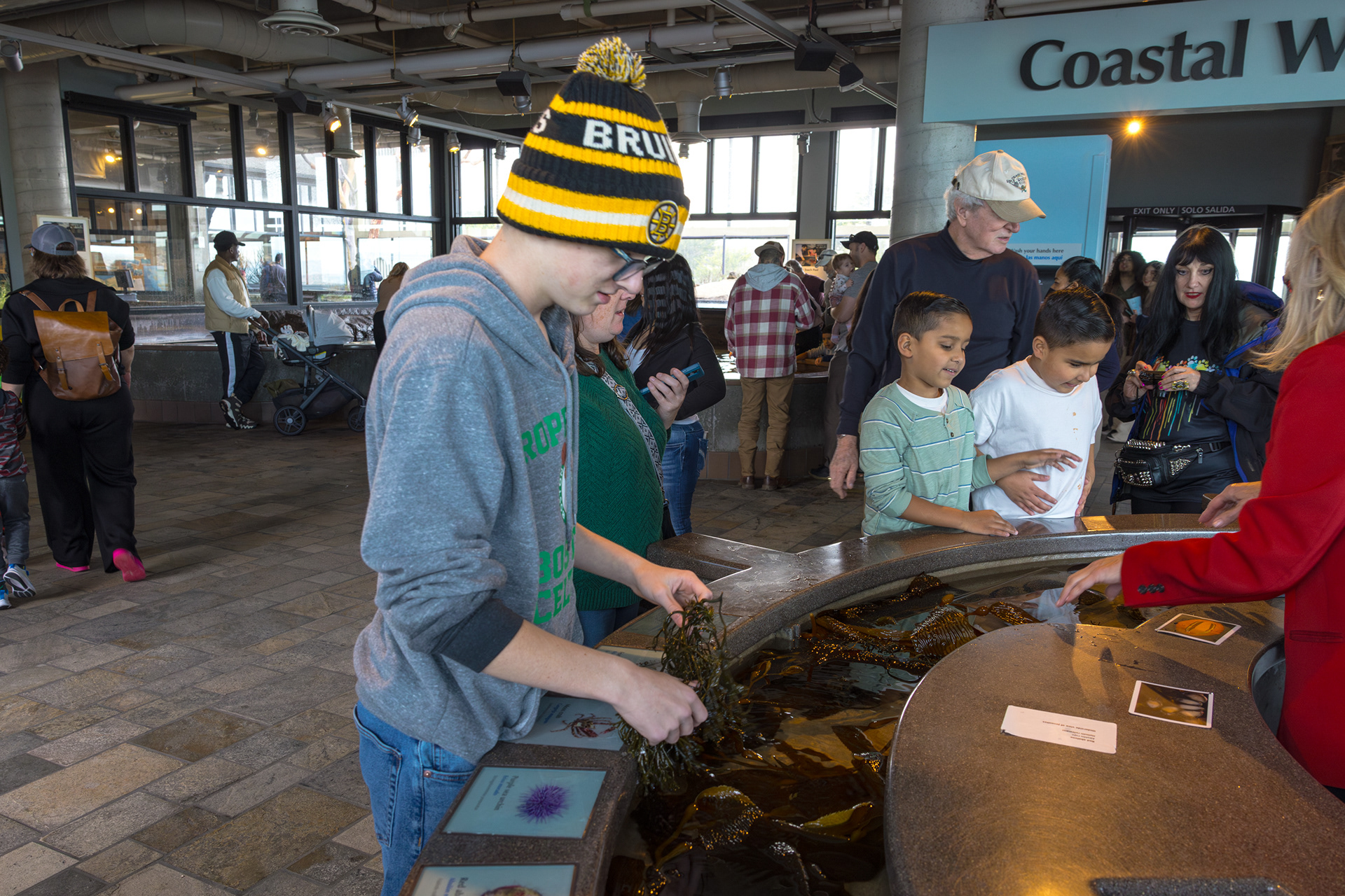 Monterey Bay Aquarium