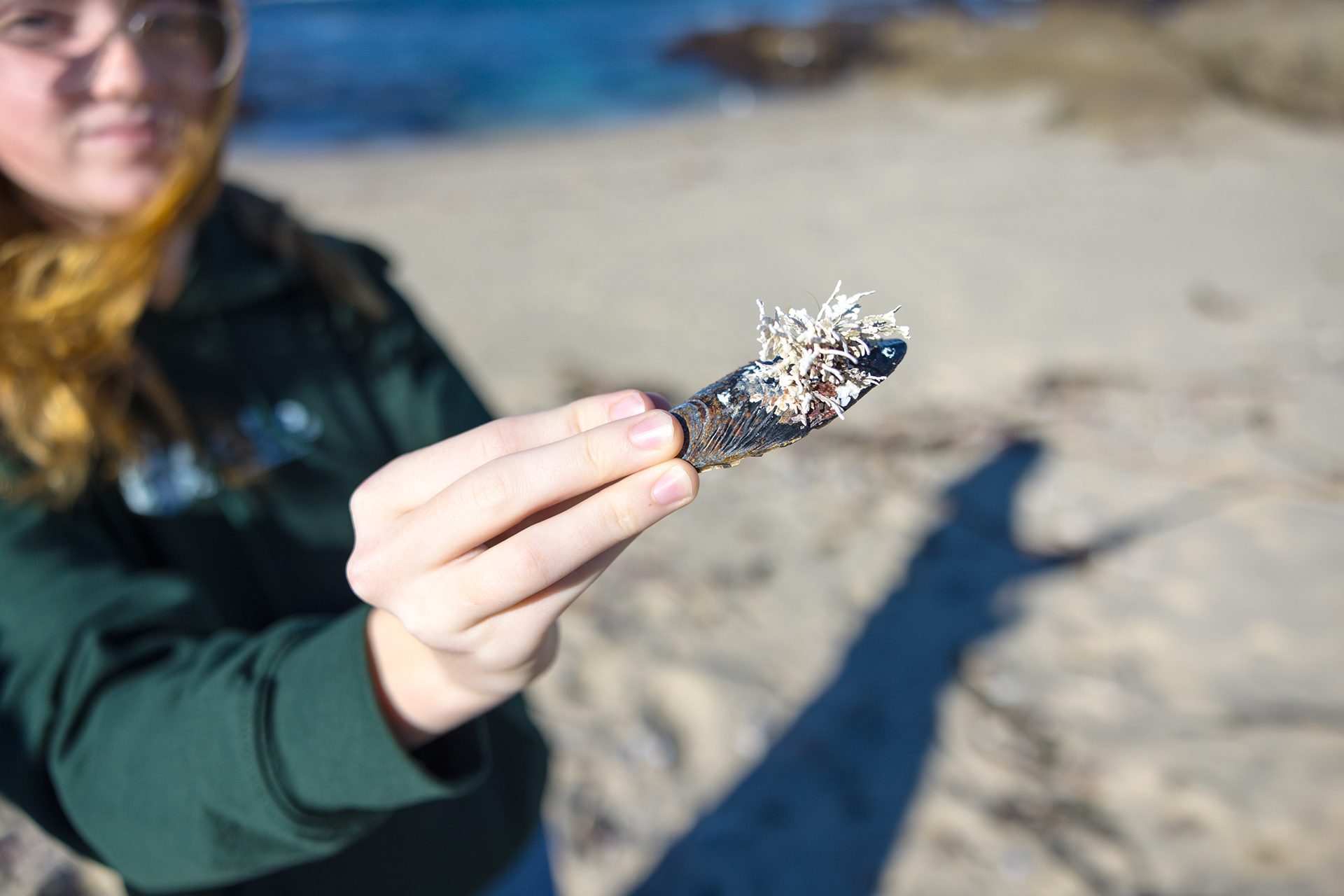 17 Mile Drive, Monterey, California