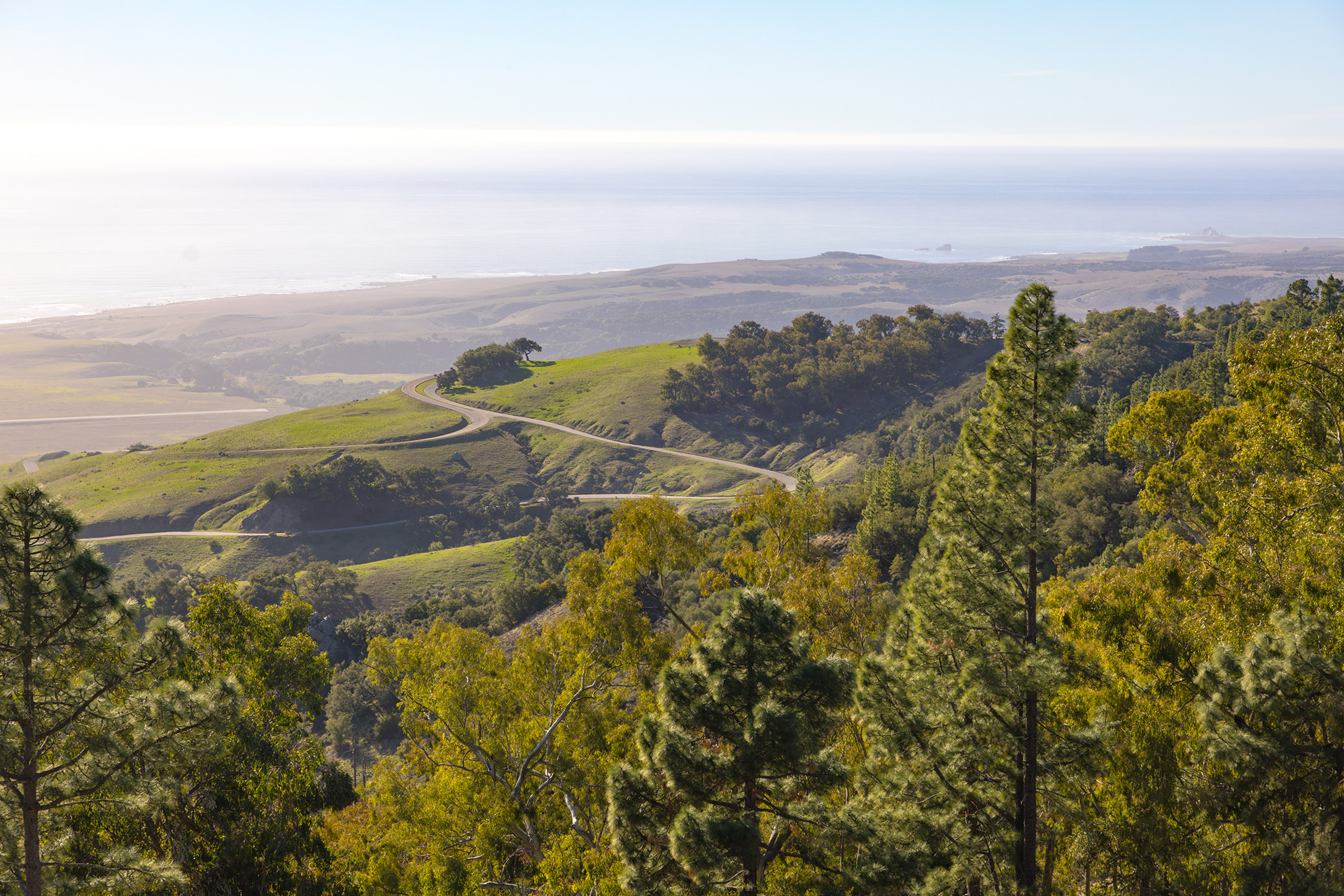 Hearst Castle, Sam Simeon, California