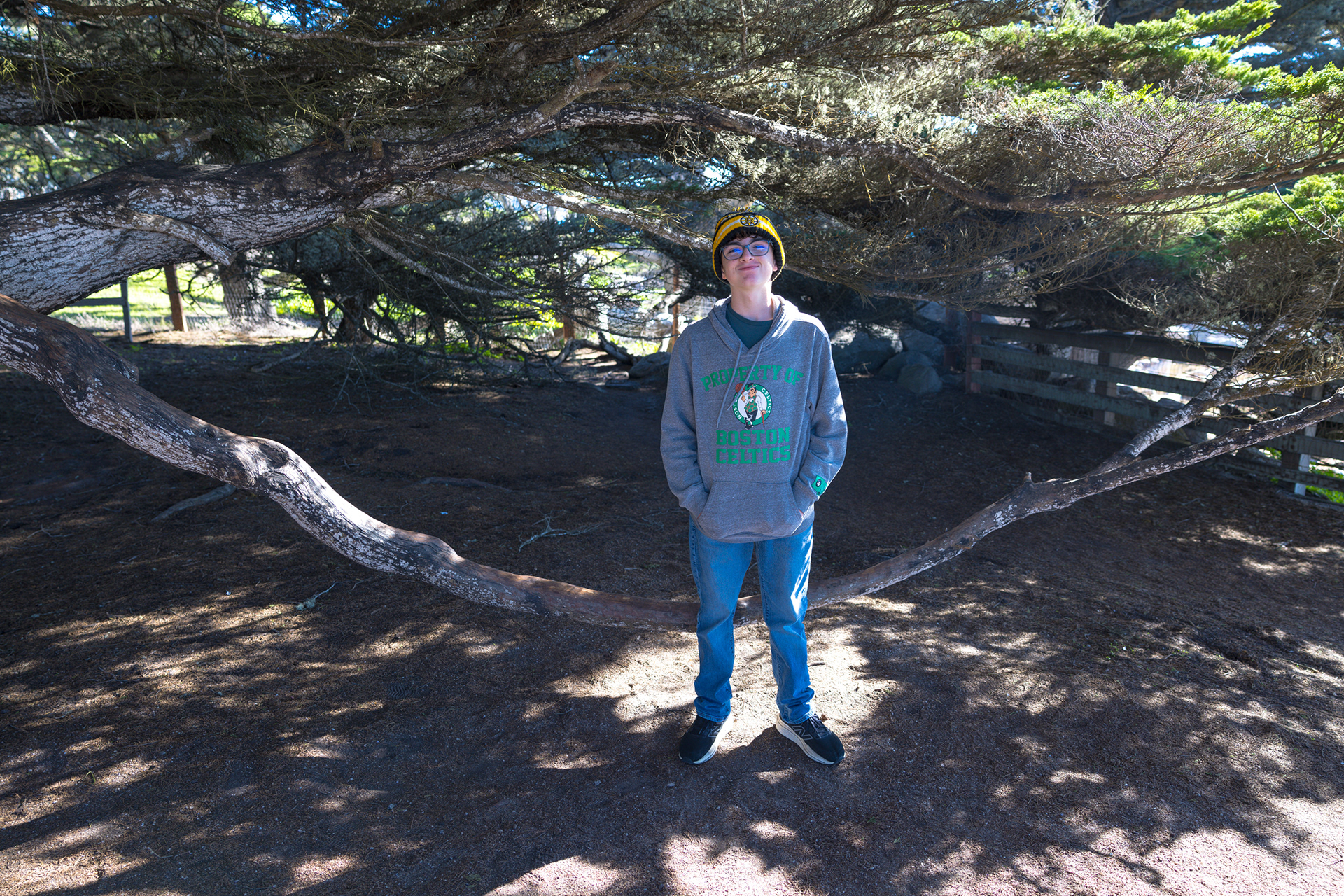 17 Mile Drive, Monterey, California