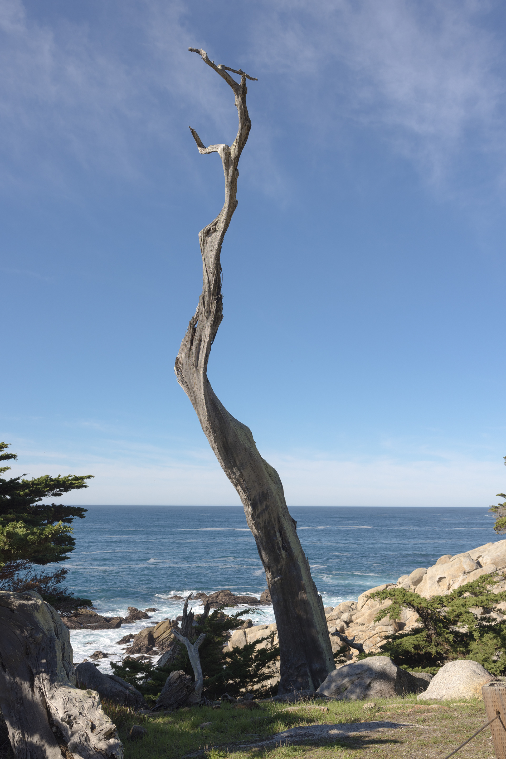 17 Mile Drive, Monterey, California