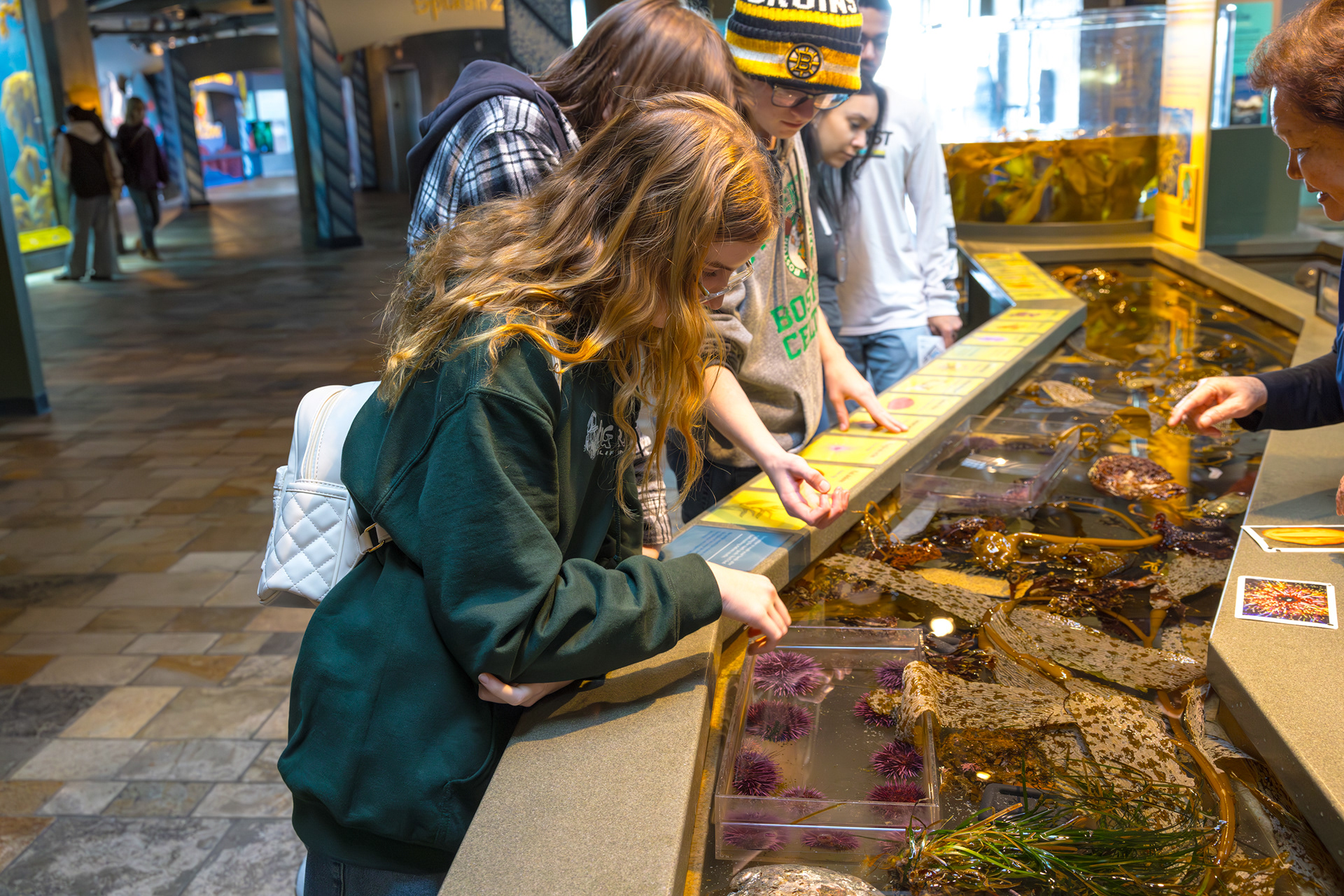 Monterey Bay Aquarium