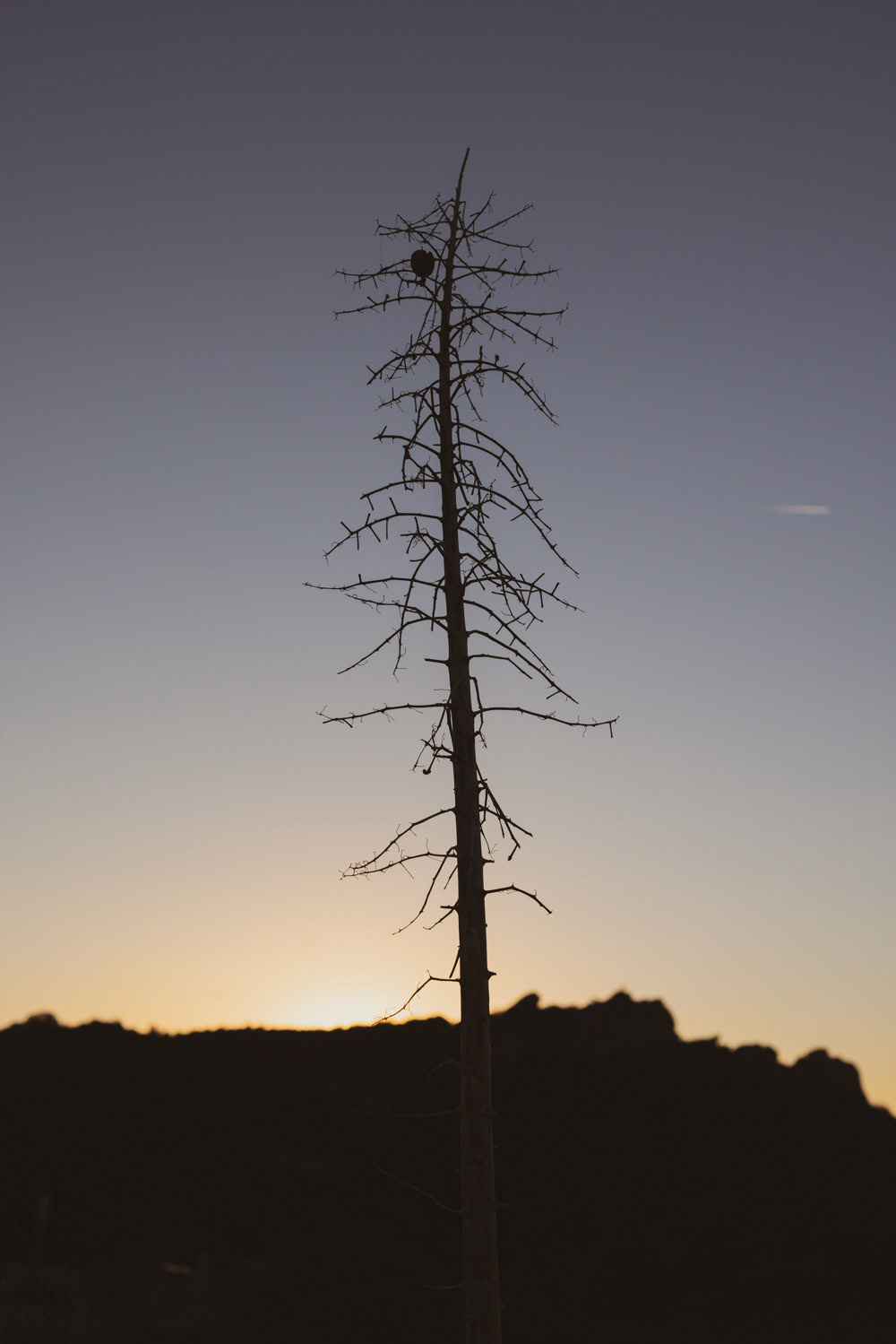 Vasquez Rocks, CA