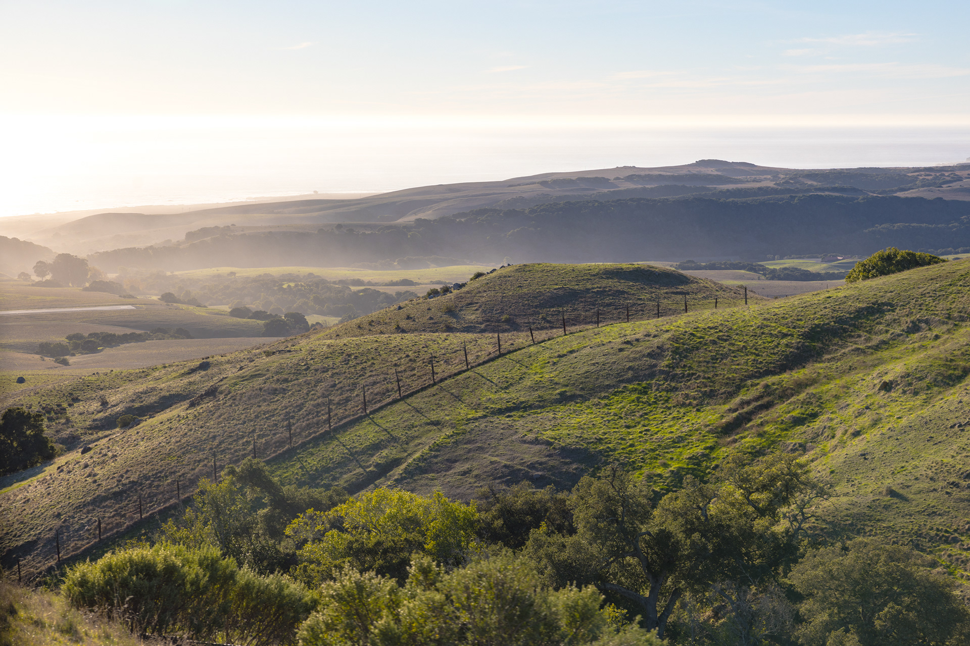 Hearst Castle, Sam Simeon, California