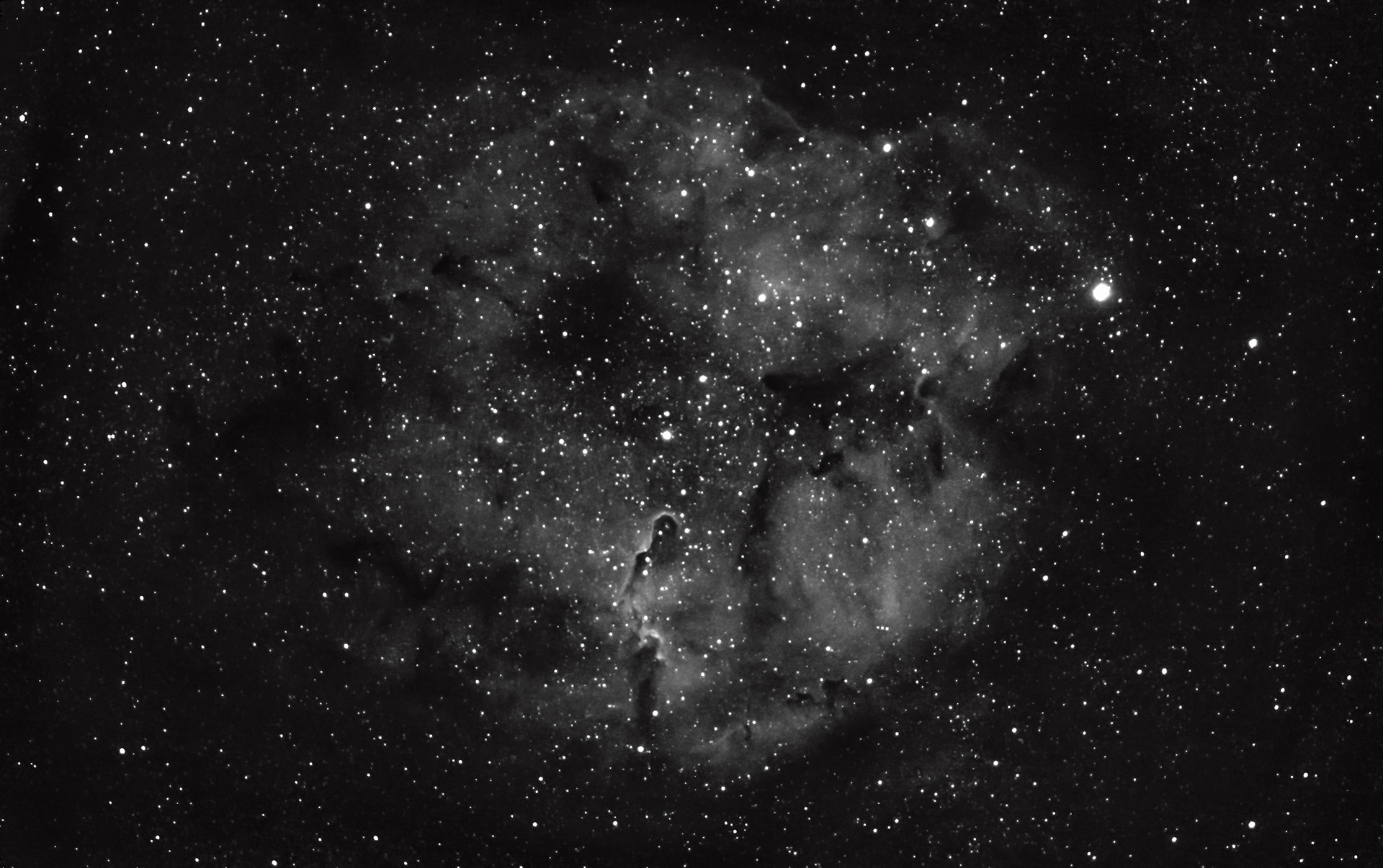 Elephant's Trunk Nebula