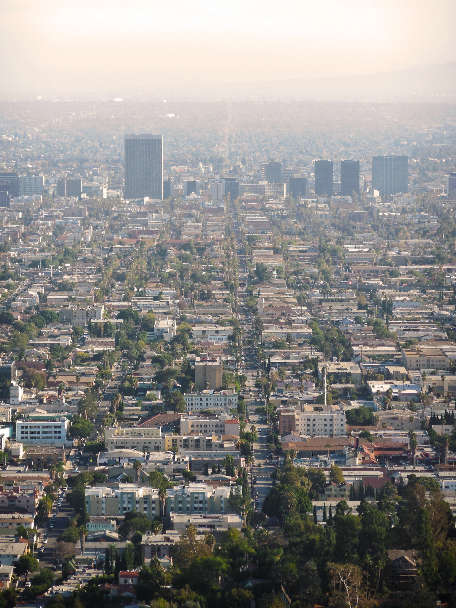 Normandy Street, Los Angeles