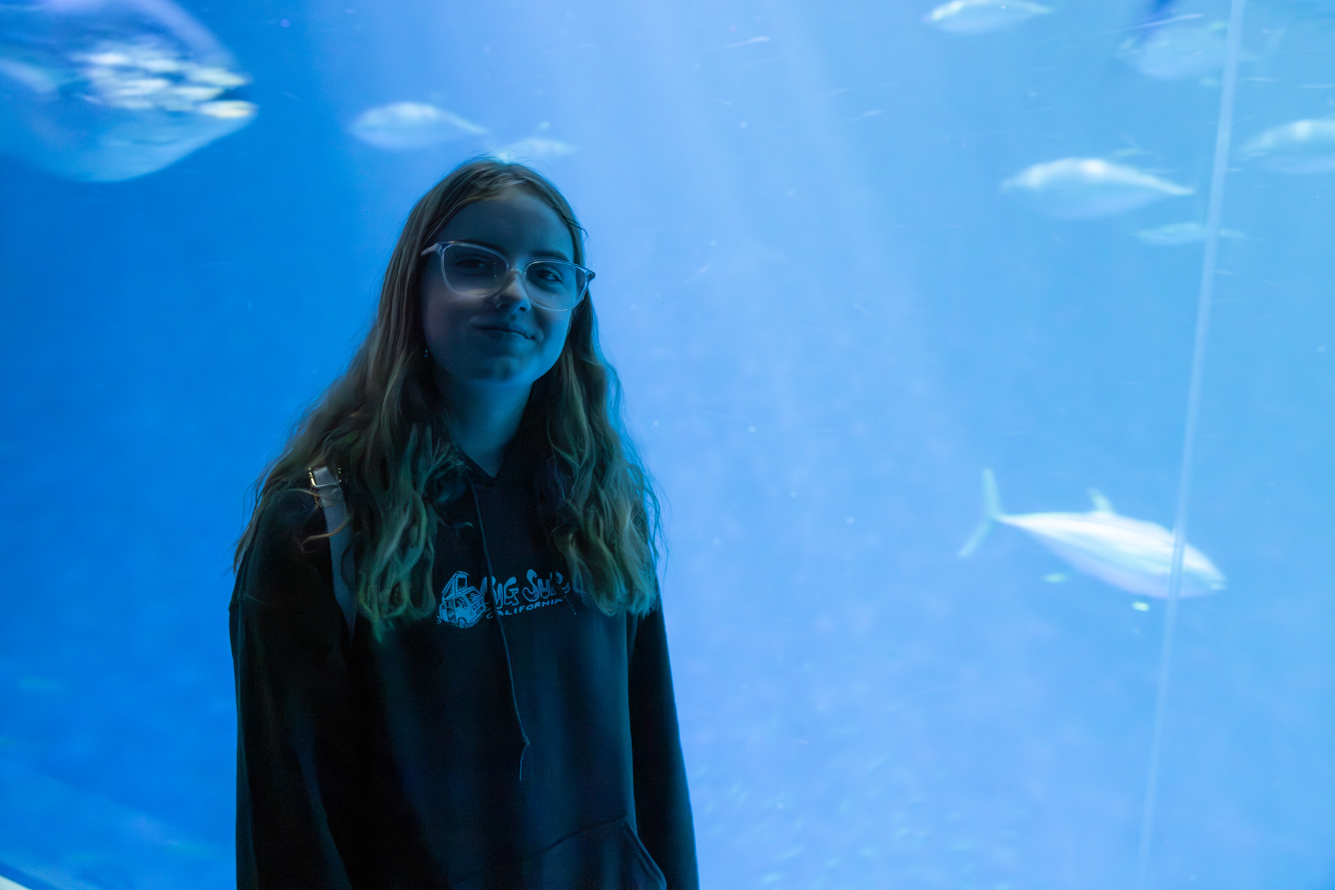 Monterey Bay Aquarium