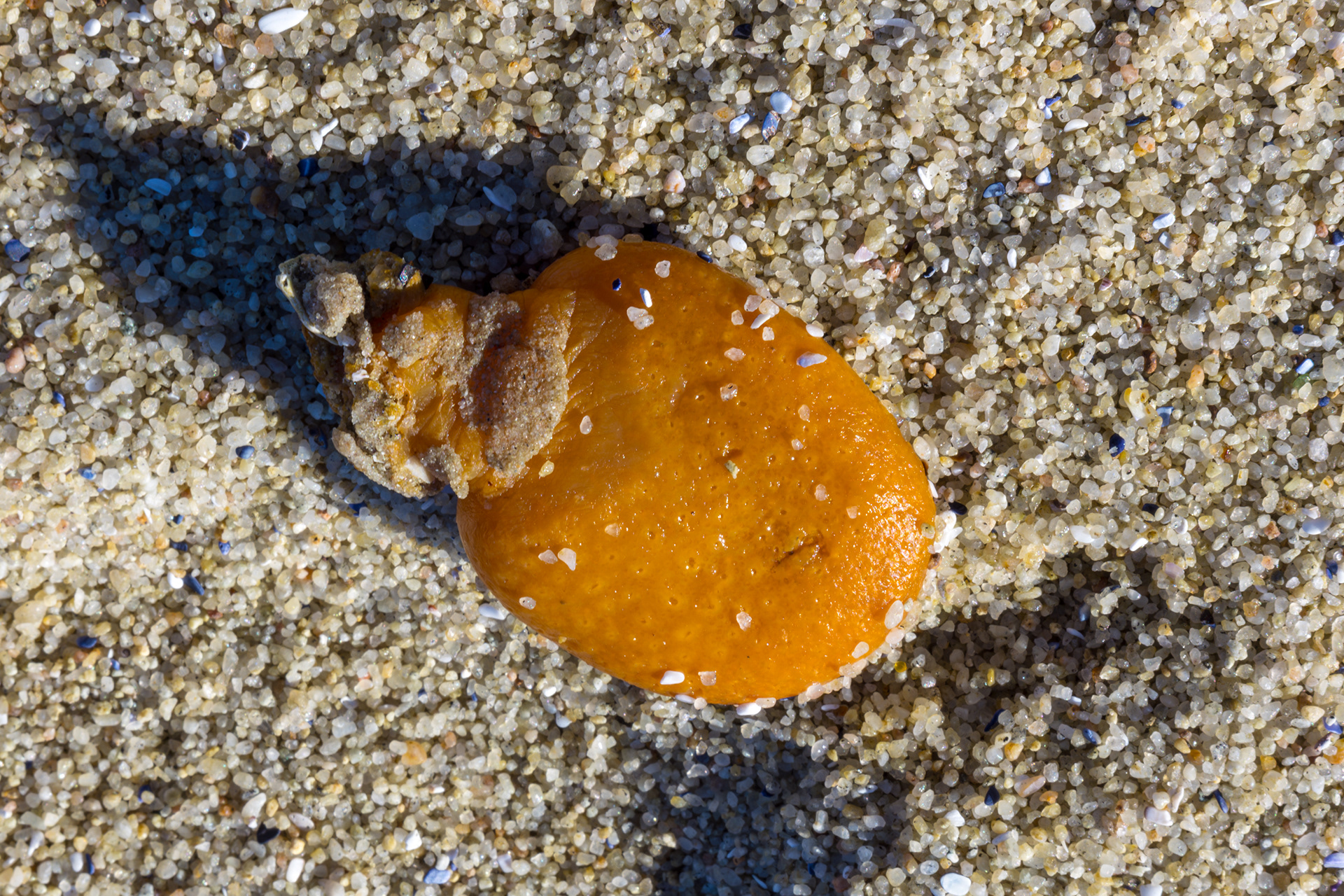 17 Mile Drive, Monterey, California