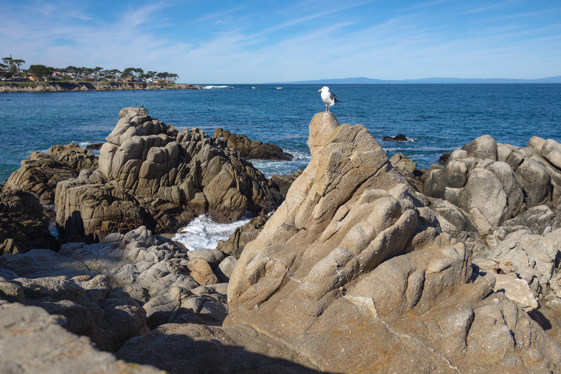17 Mile Drive, Monterey, California