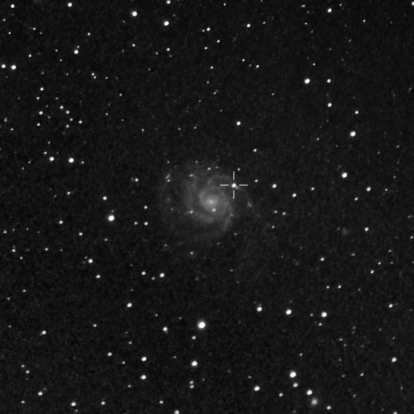 Messier 101 w/ Supernova 2023ixf