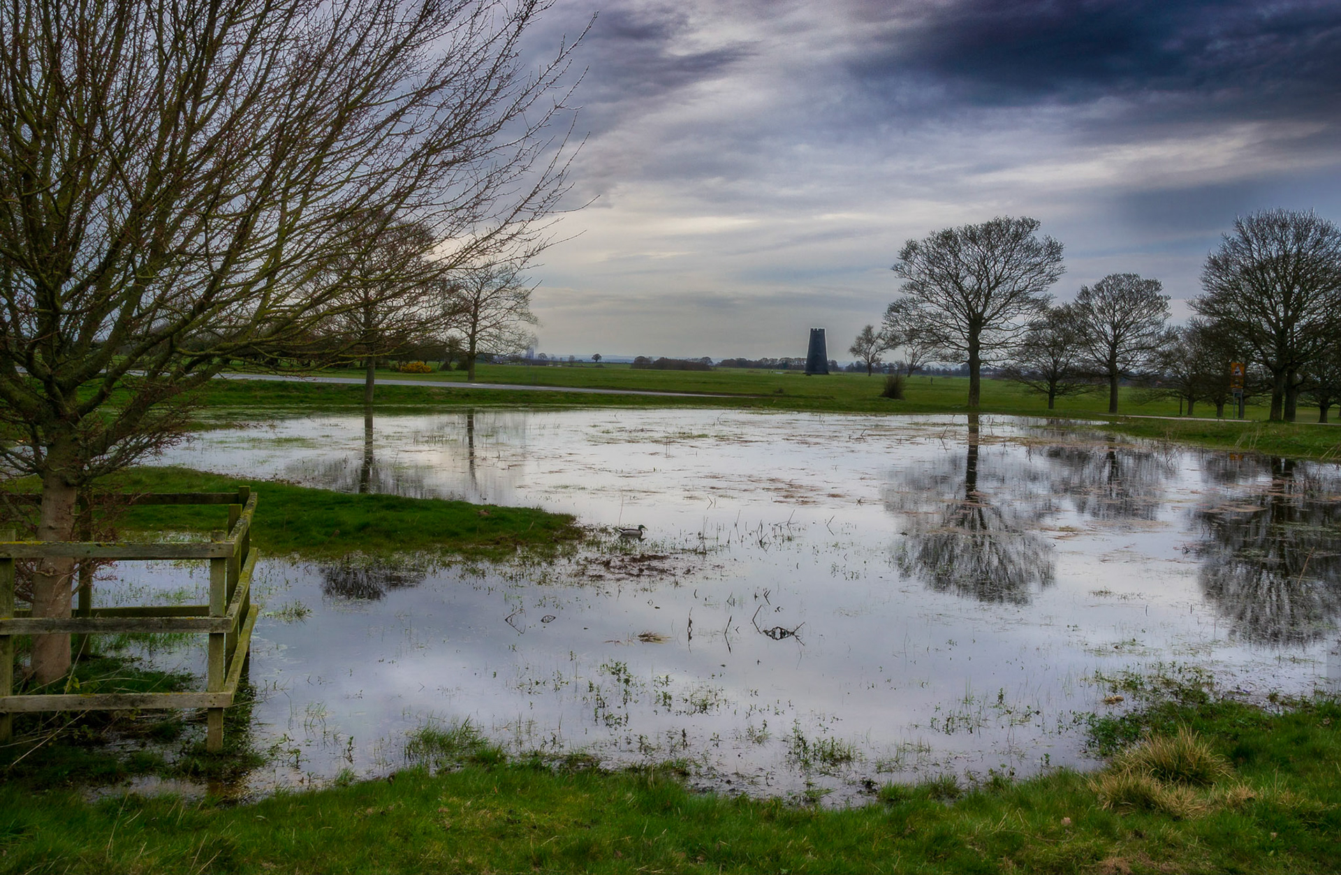 Flooded reflections