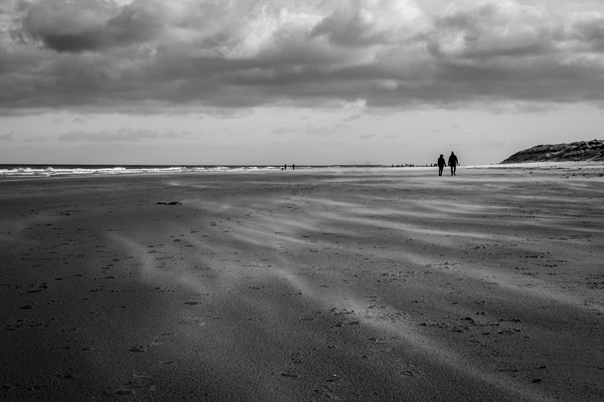 a walk in the wind