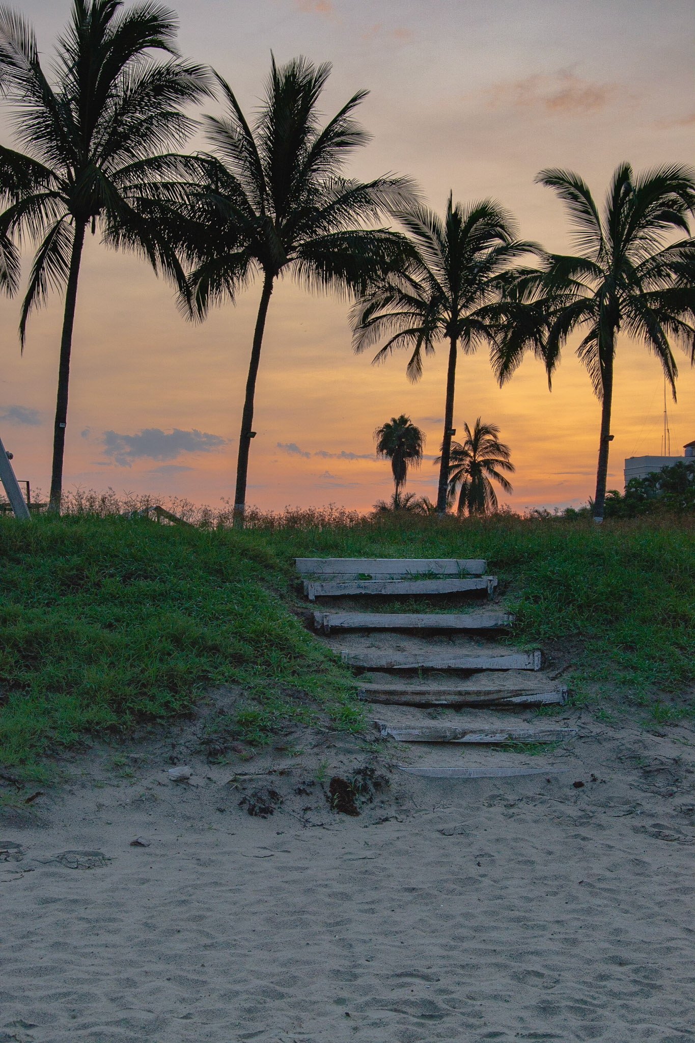 sunlight steps