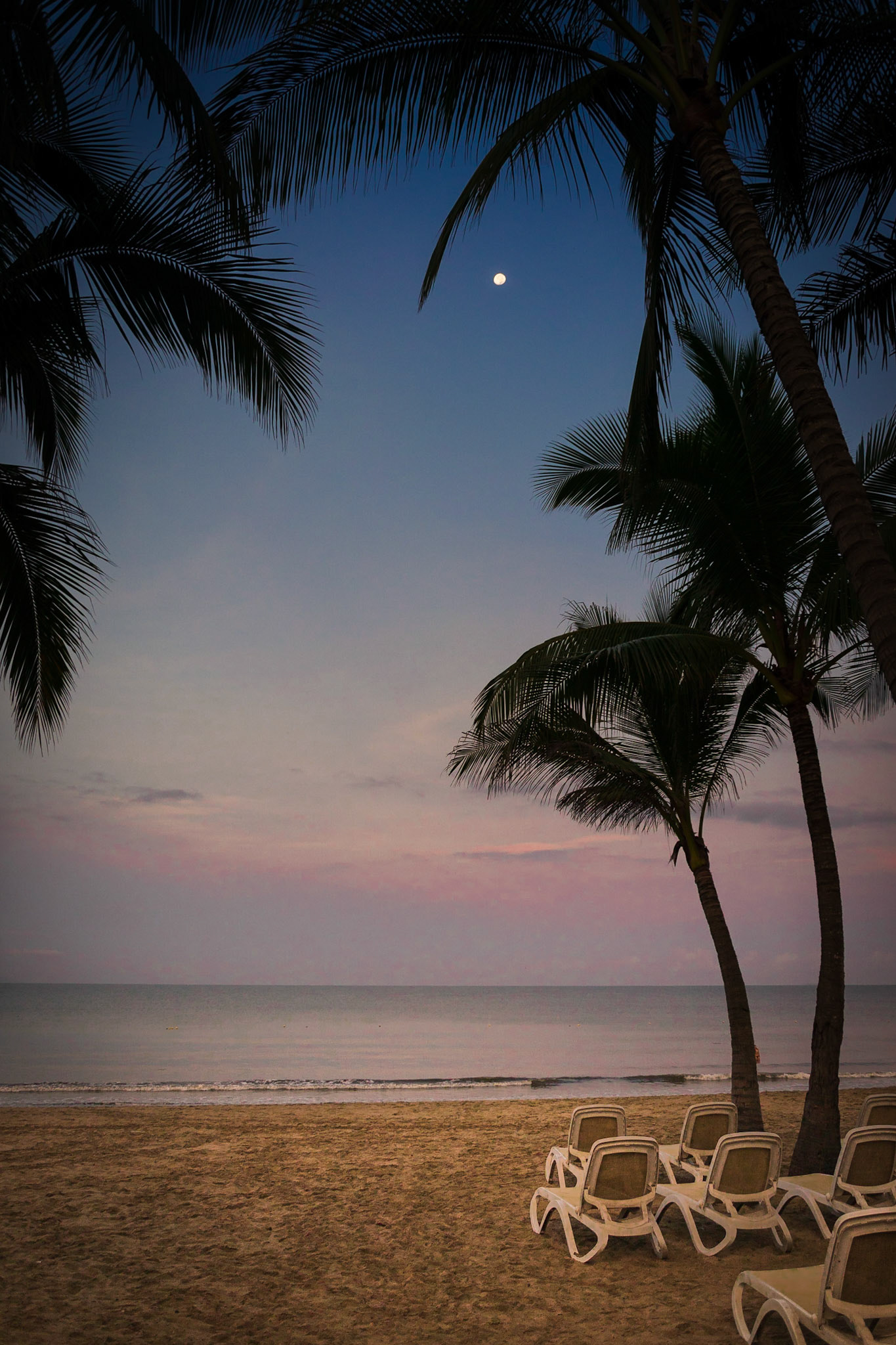 Moonlight