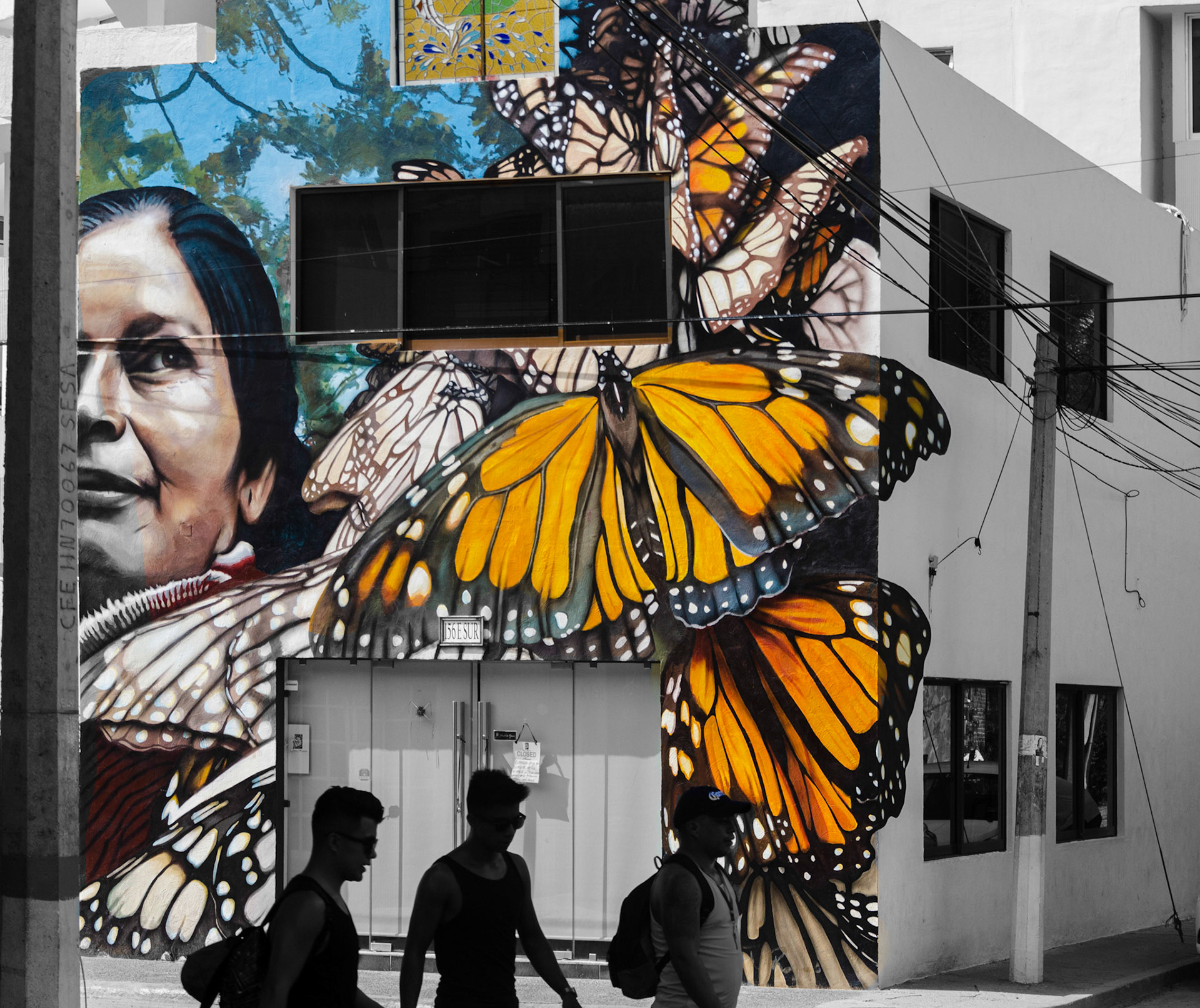 Madame butterfly