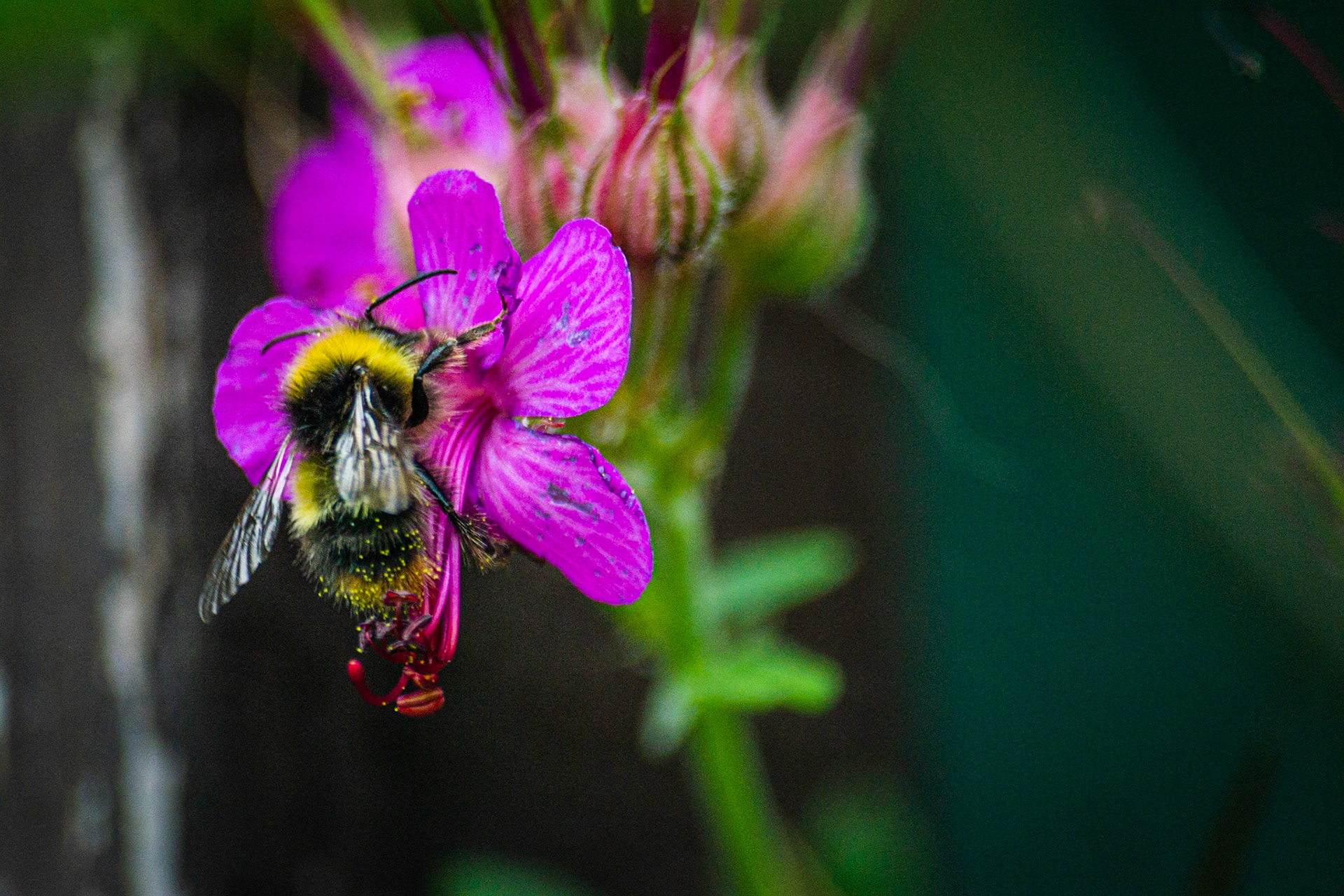 Working for a living