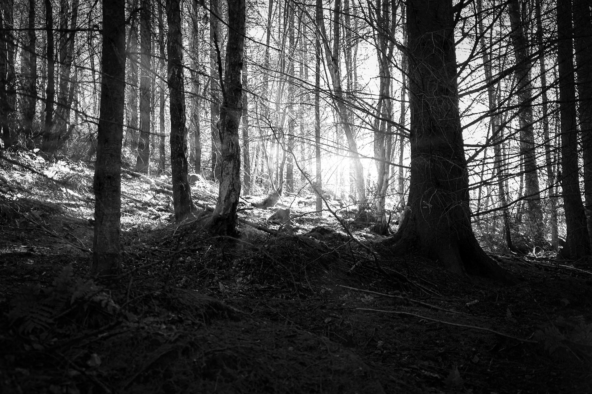 Guiding Light