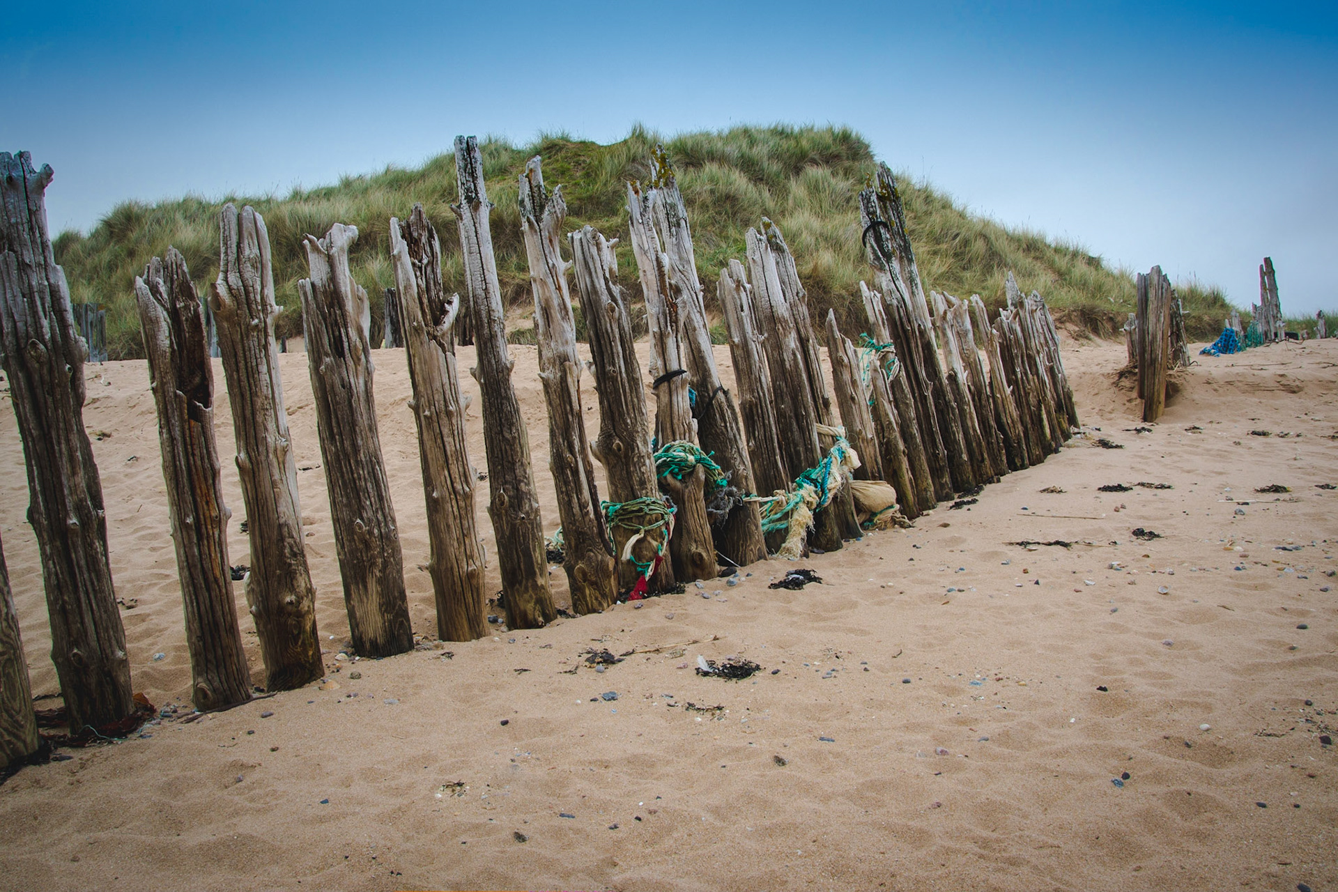 Tidewrack