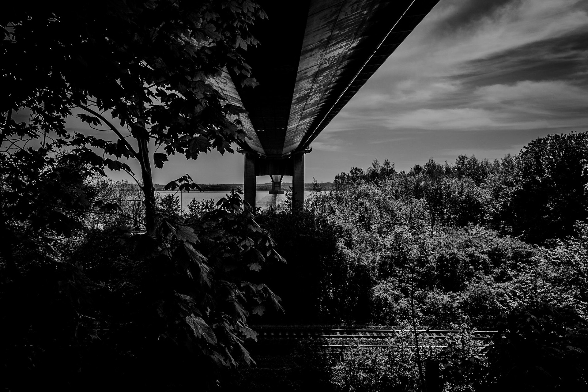 Under the bridge