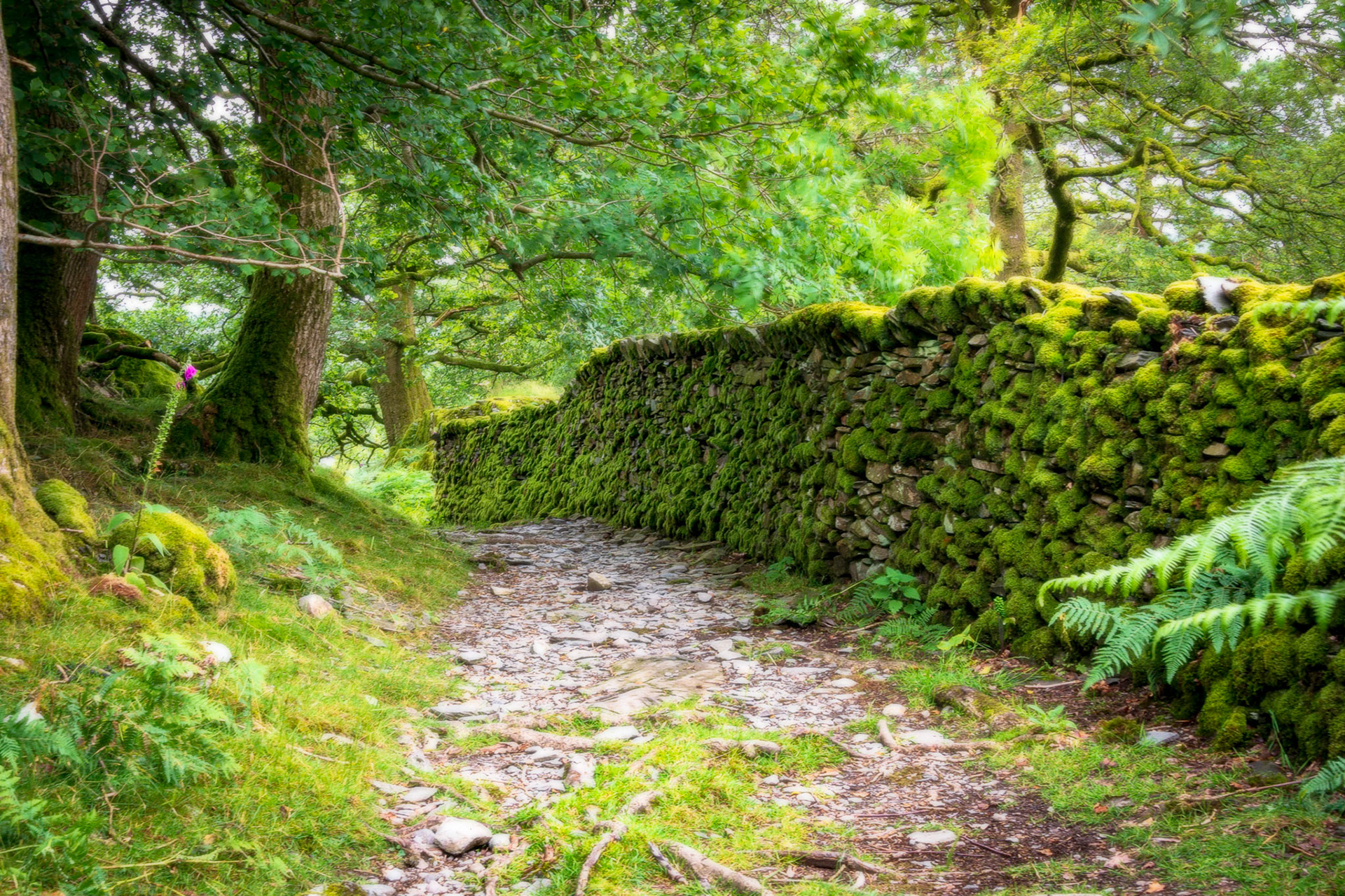 Pathways